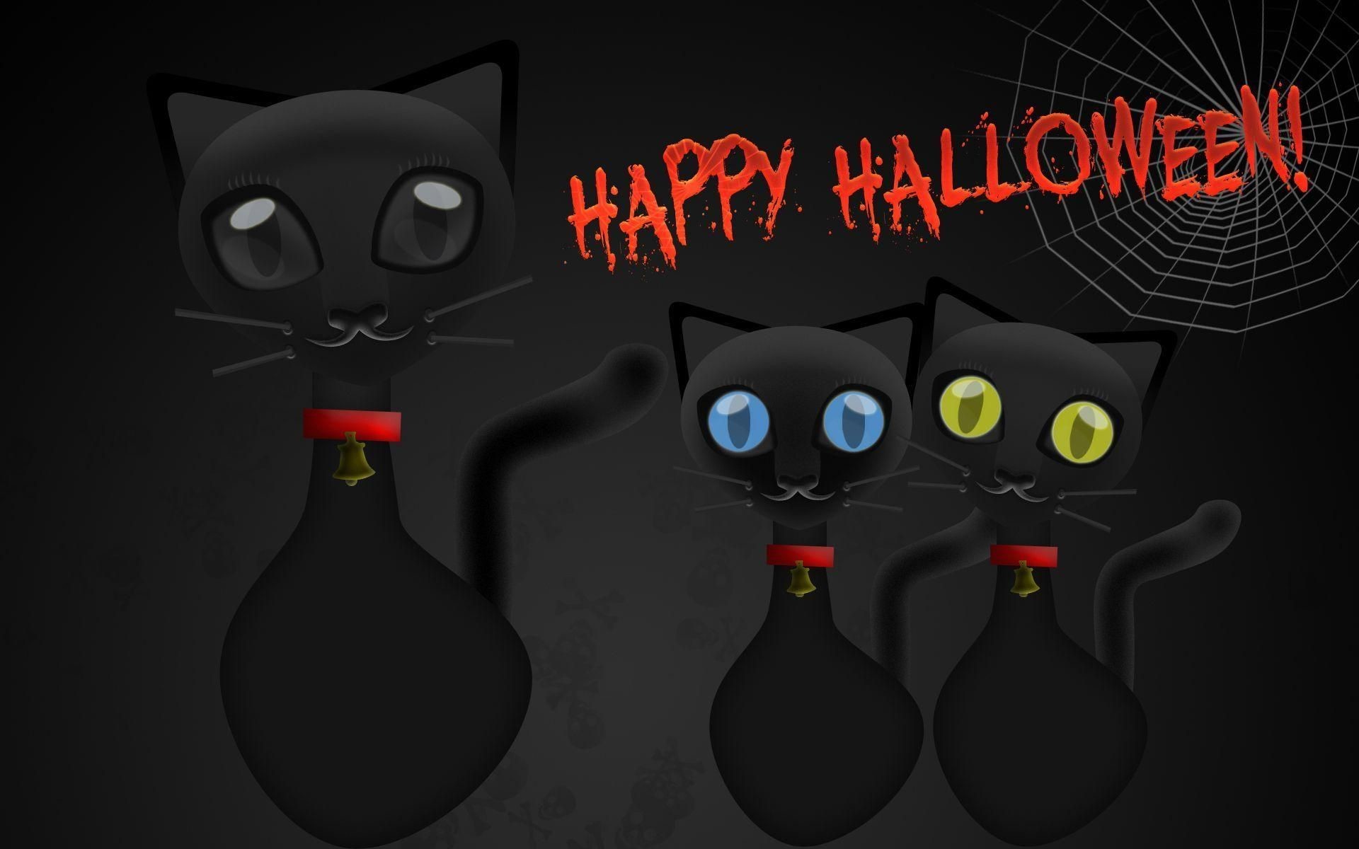 1920x1200 halloween cat screensaver download https://www.hdwallpaperspop.com/halloween -