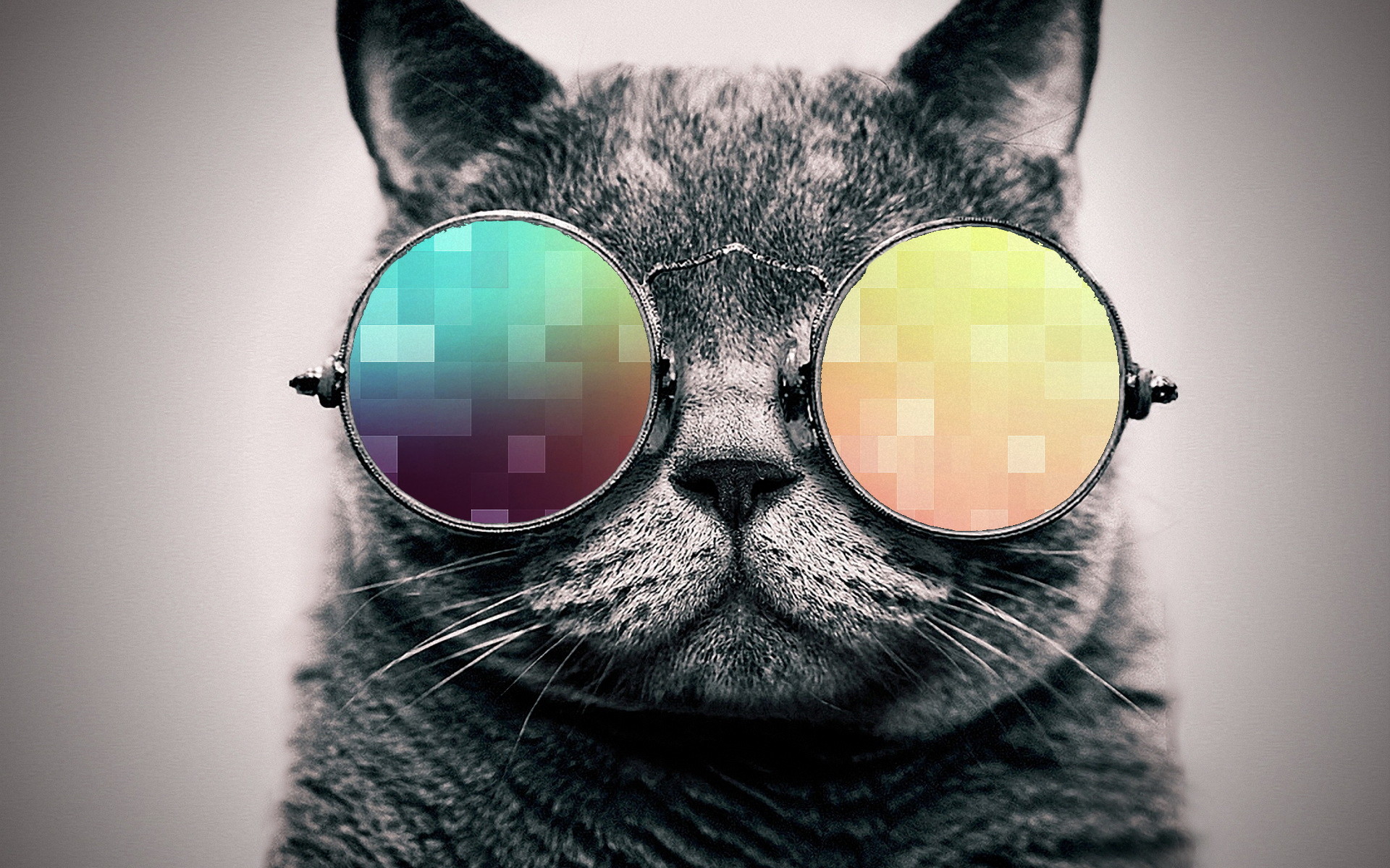1920x1200 cool cat wallpaper. By ToValhalla Download 1920 X 1200