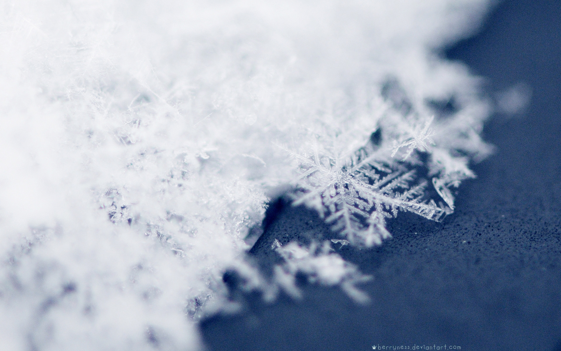 1920x1200 Snow Snowflakes Wallpaper  Snow, Snowflakes #3971