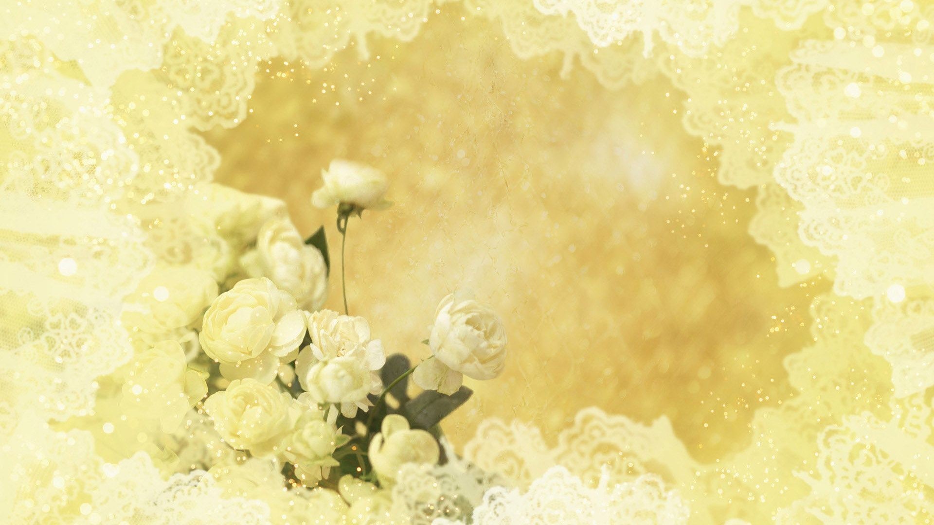 1920x1080 Yellow roses on yellow background wallpapers and images .