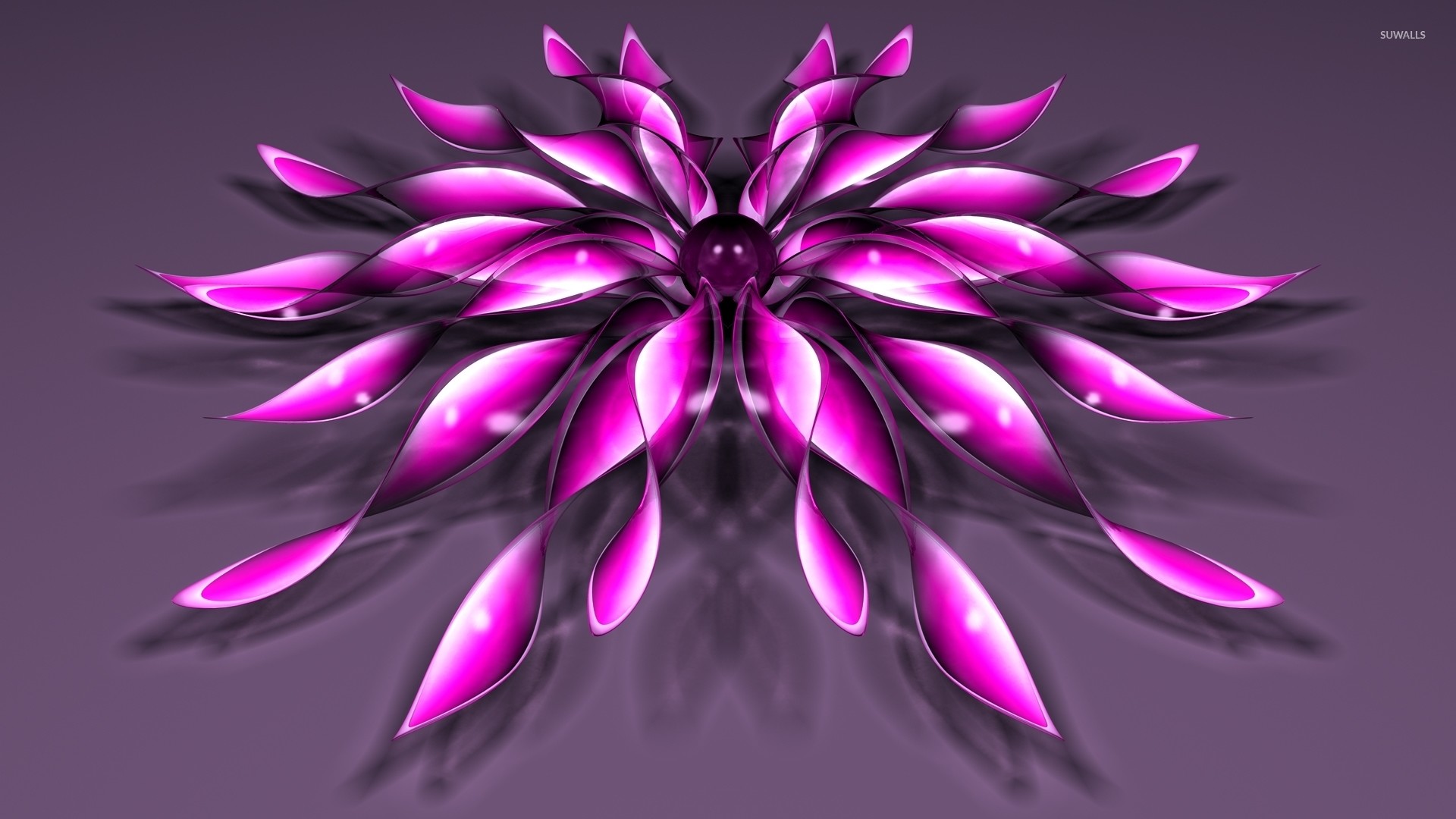 1920x1080 Pink flowers with a purple core wallpaper  jpg