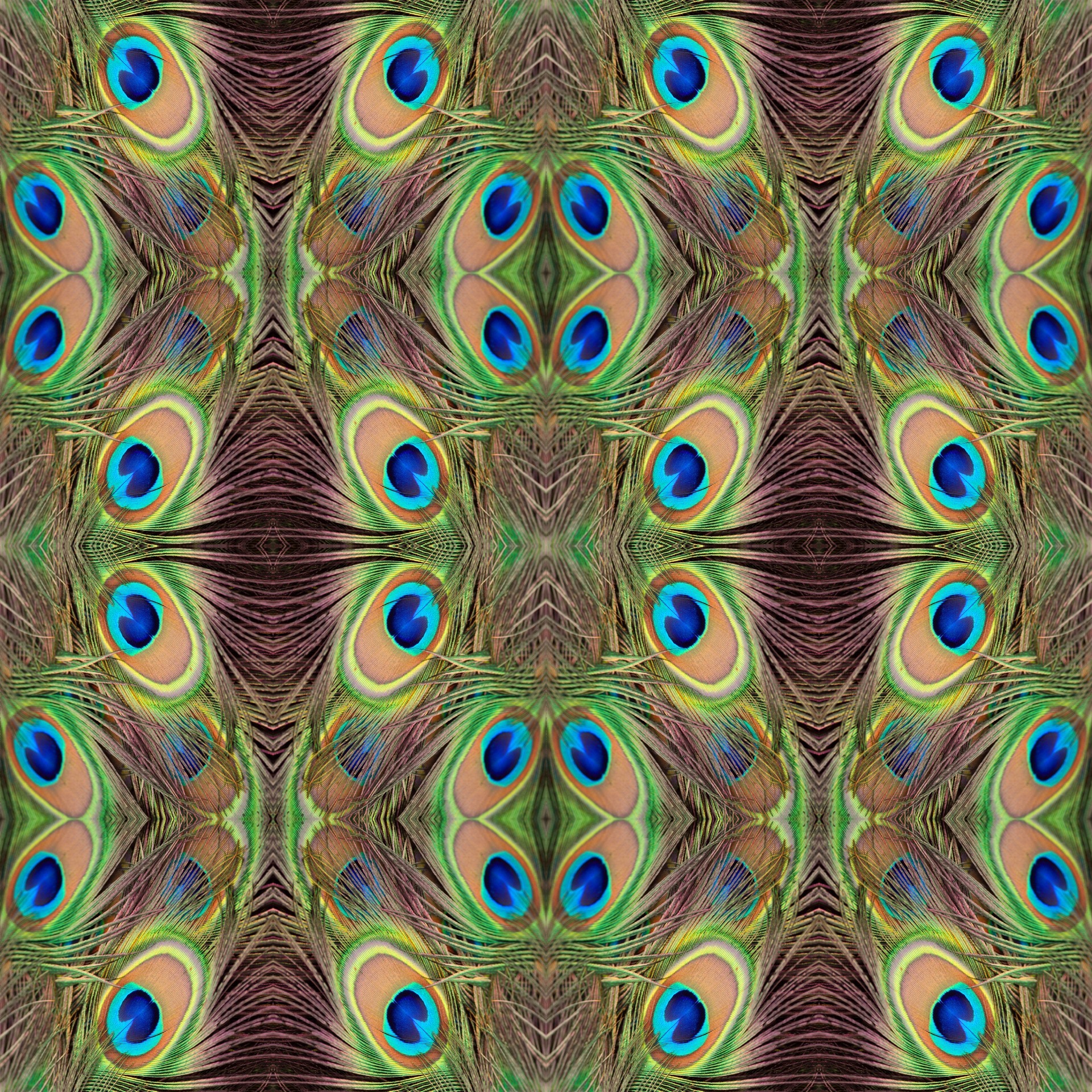 1920x1920 peacock,feathers,peacock feathers,abstract,pattern,seamless,wallpaper,