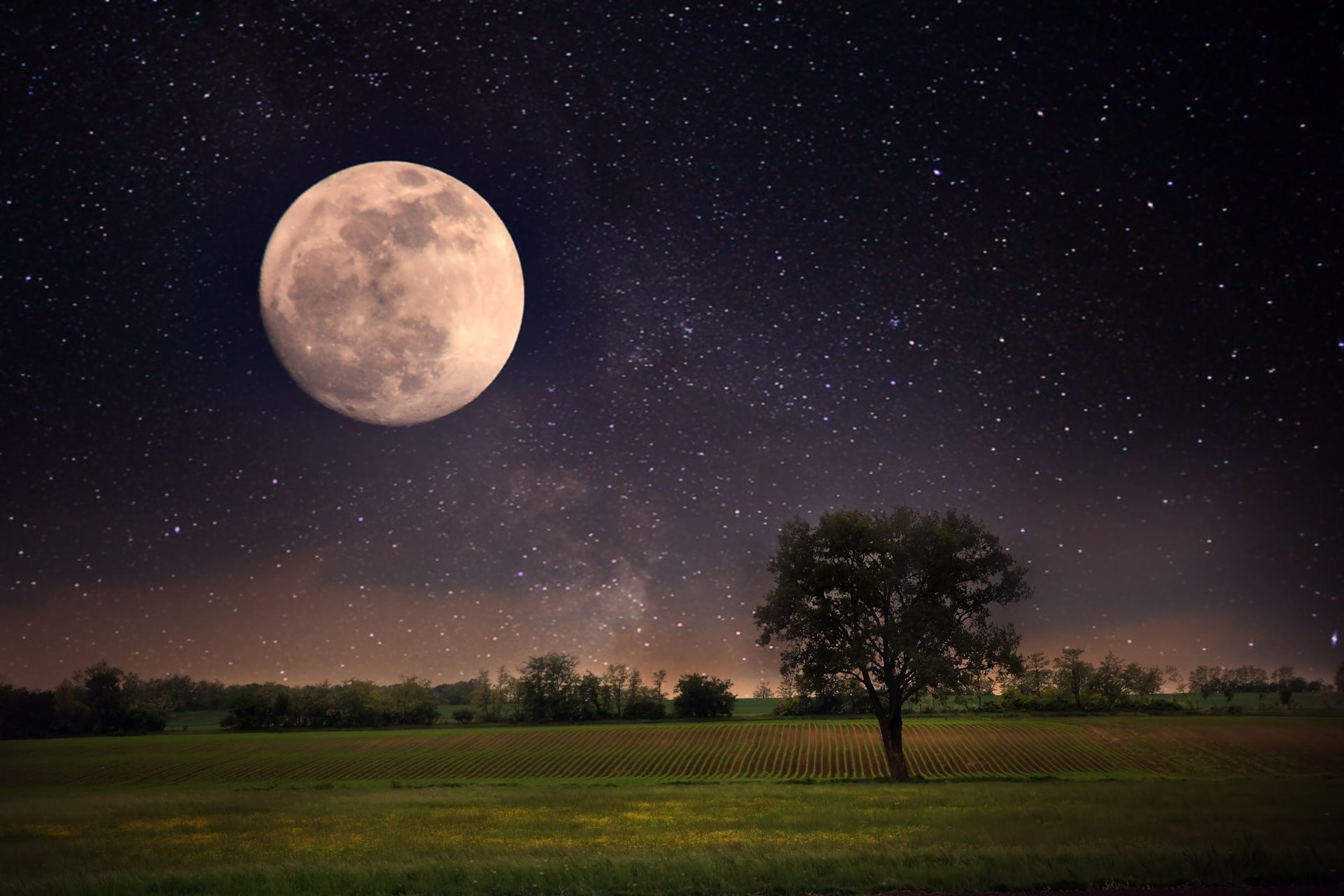 1920x1280 moon night landscape stars full moon sky beautiful scene nature lonely tree  landscape moon night landscape