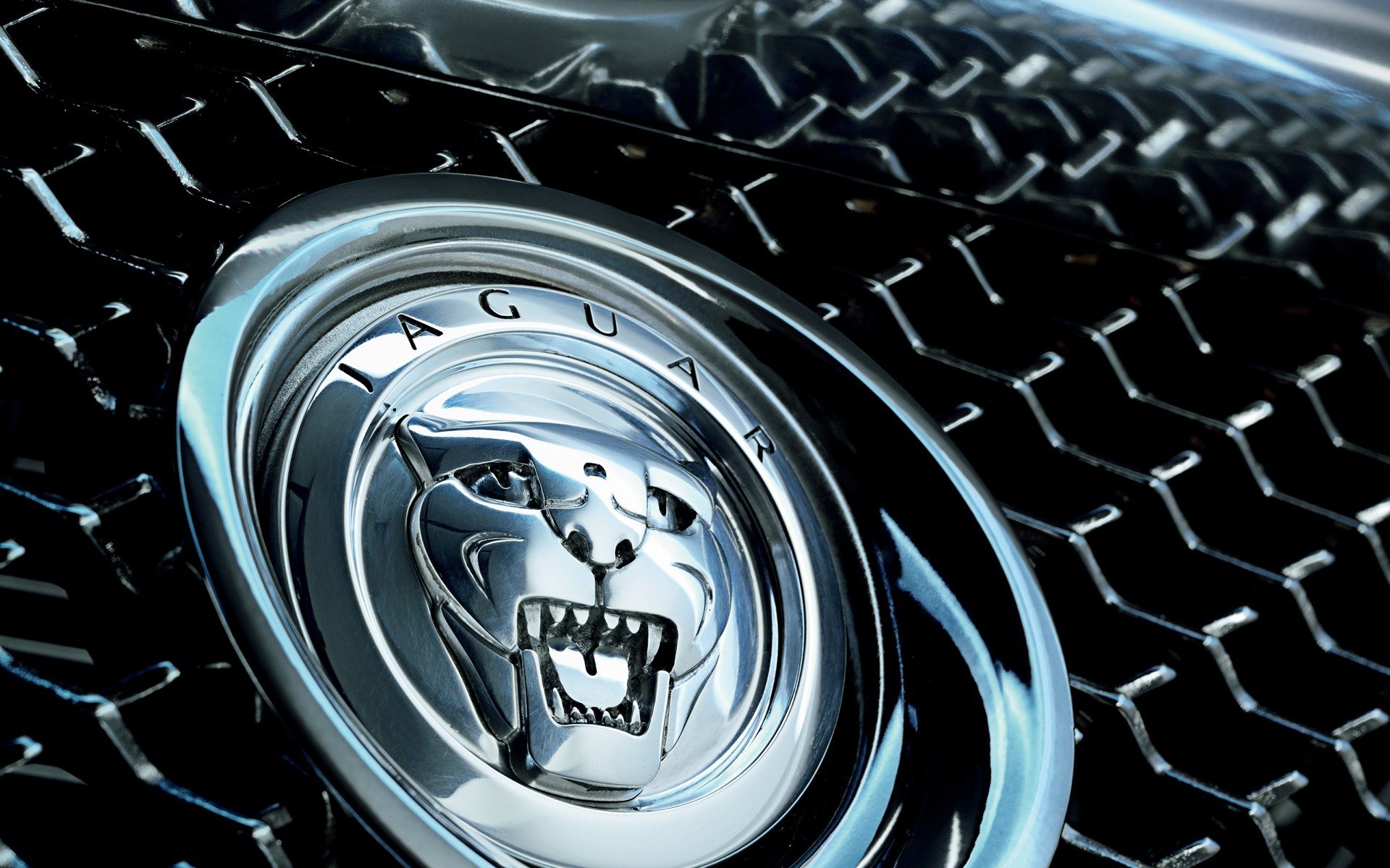 1920x1200 jaguar car logo wallpaper 58999