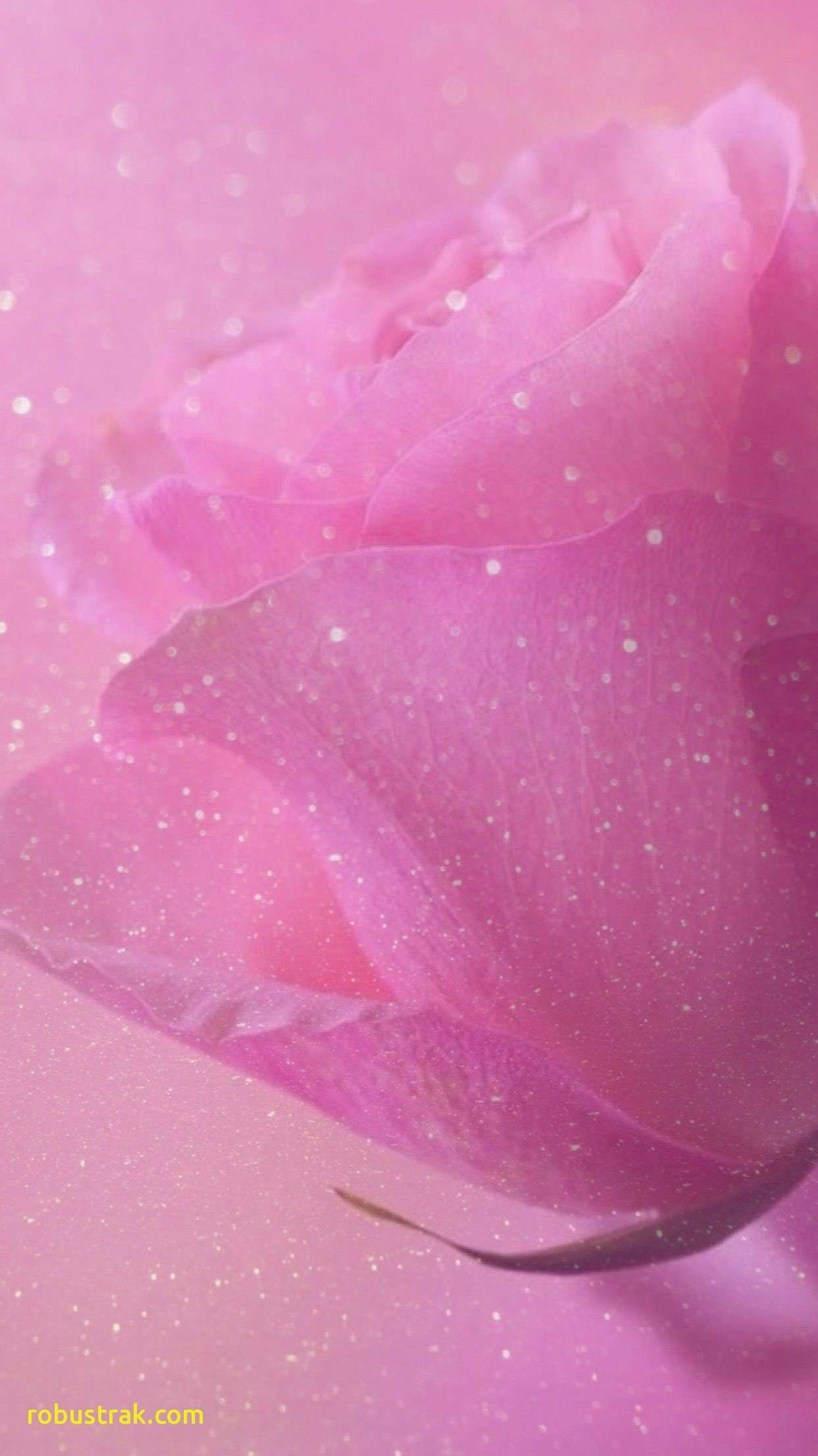 1242x2208 Hot Pink and orange Wallpaper Luxury Rose Sparkle Glitter Wallpaper  Background Pink Pretty Girly