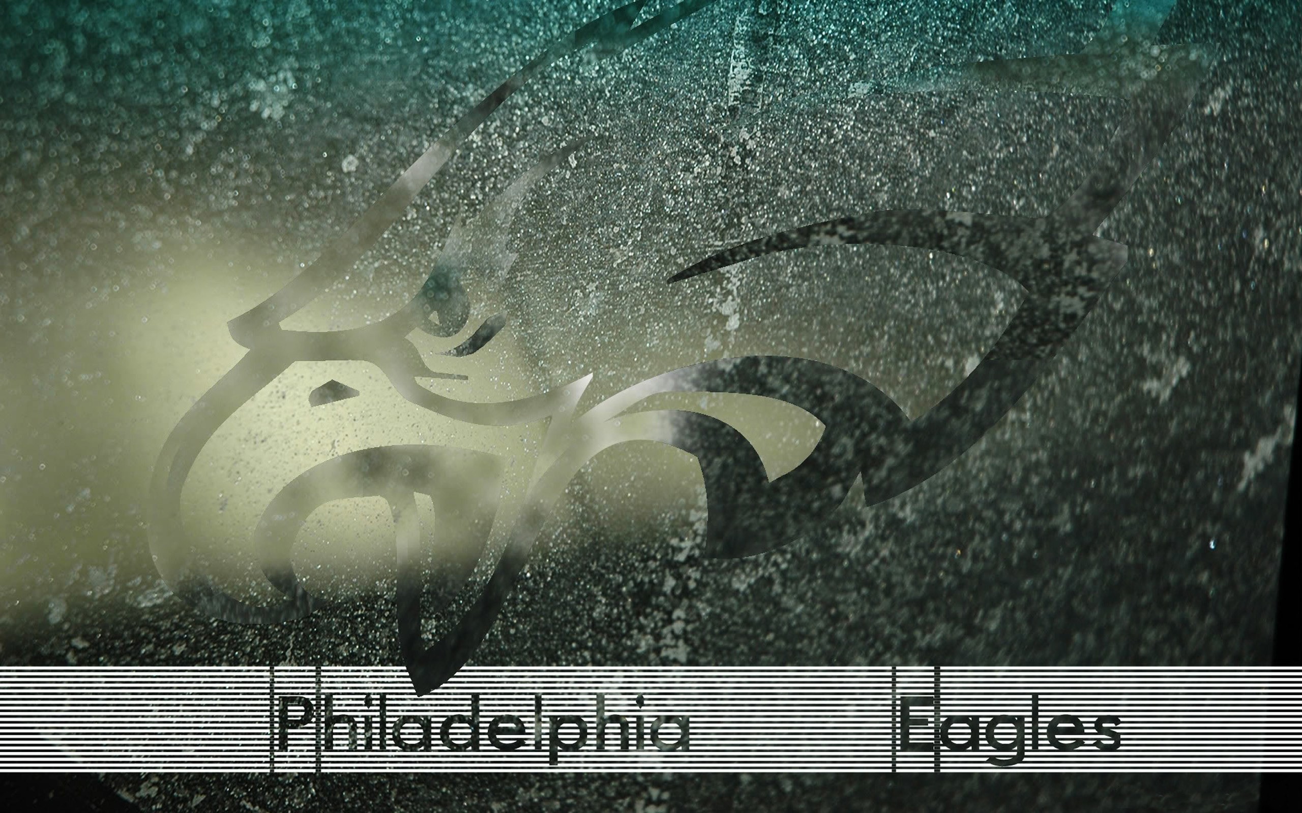 2560x1600 widescreen wallpaper philadelphia eagles (Sydney Robin )