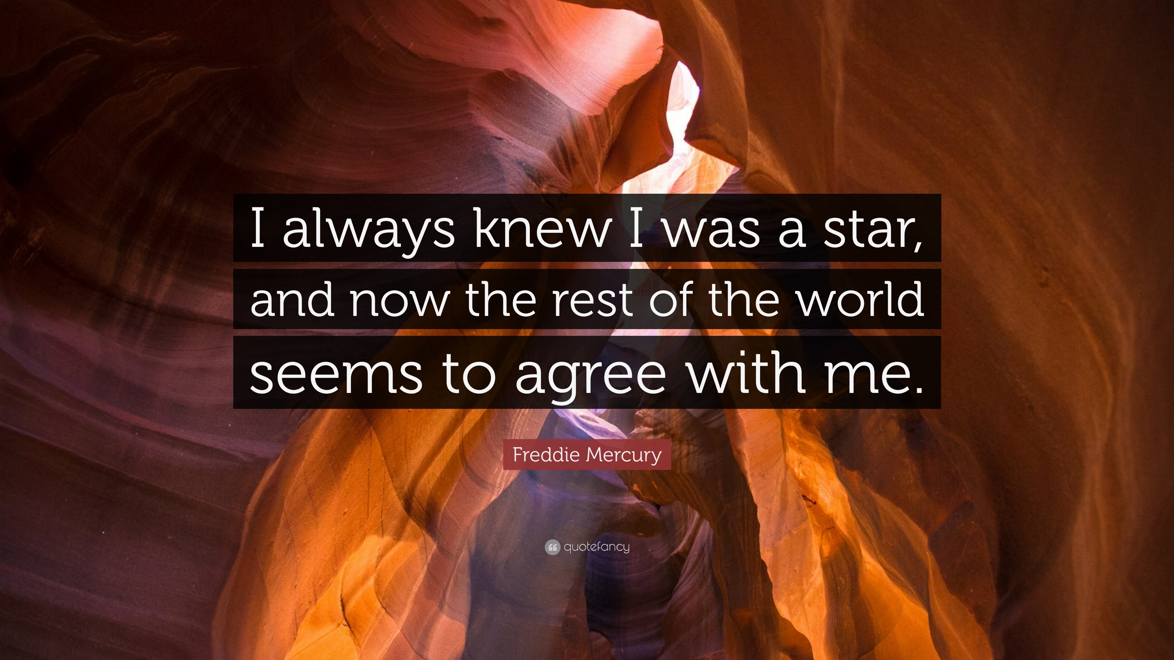 3840x2160 Freddie Mercury Quote: “I always knew I was a star, and now the