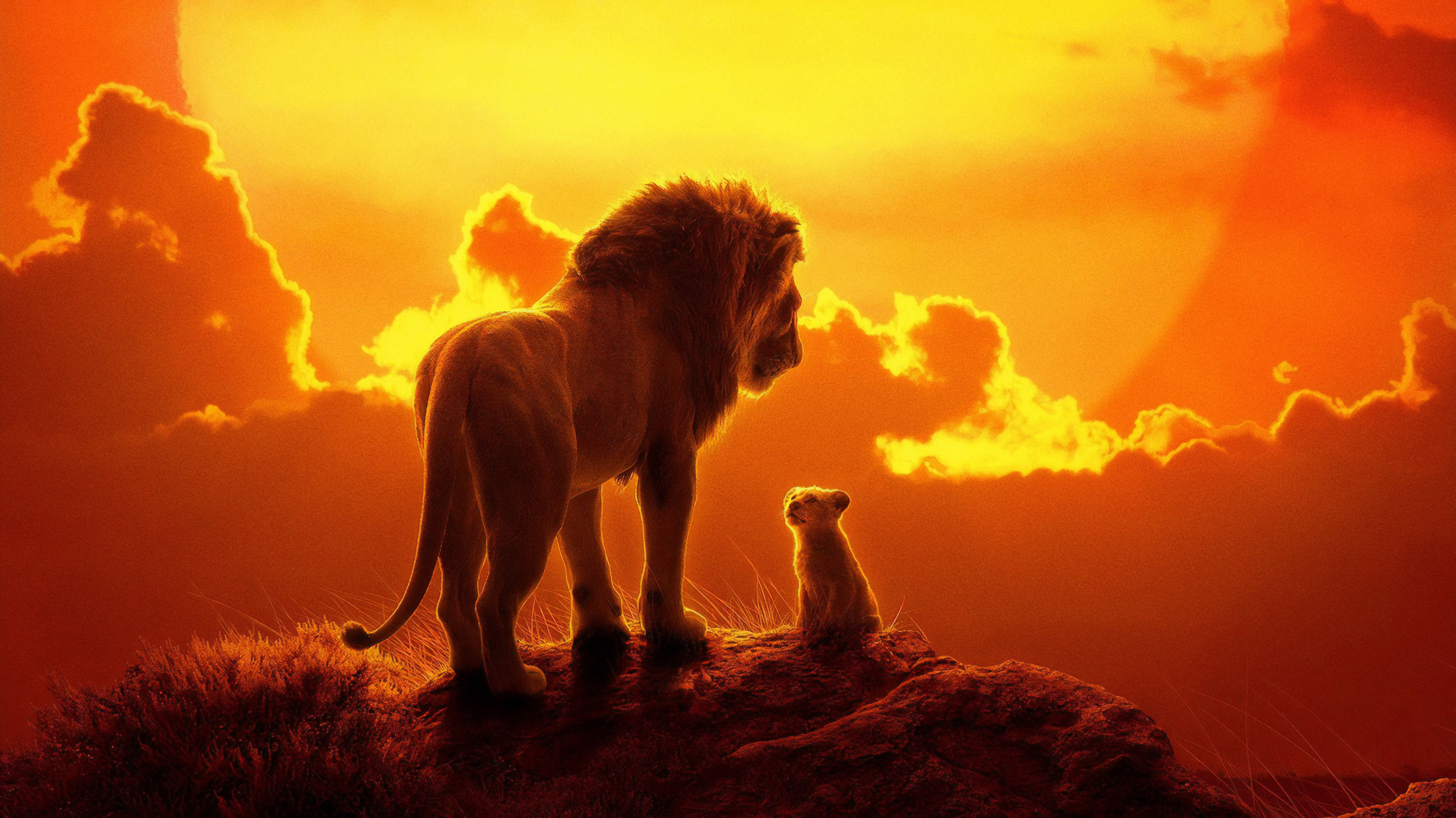 3375x1898 The Lion King 2019 Wallpaper