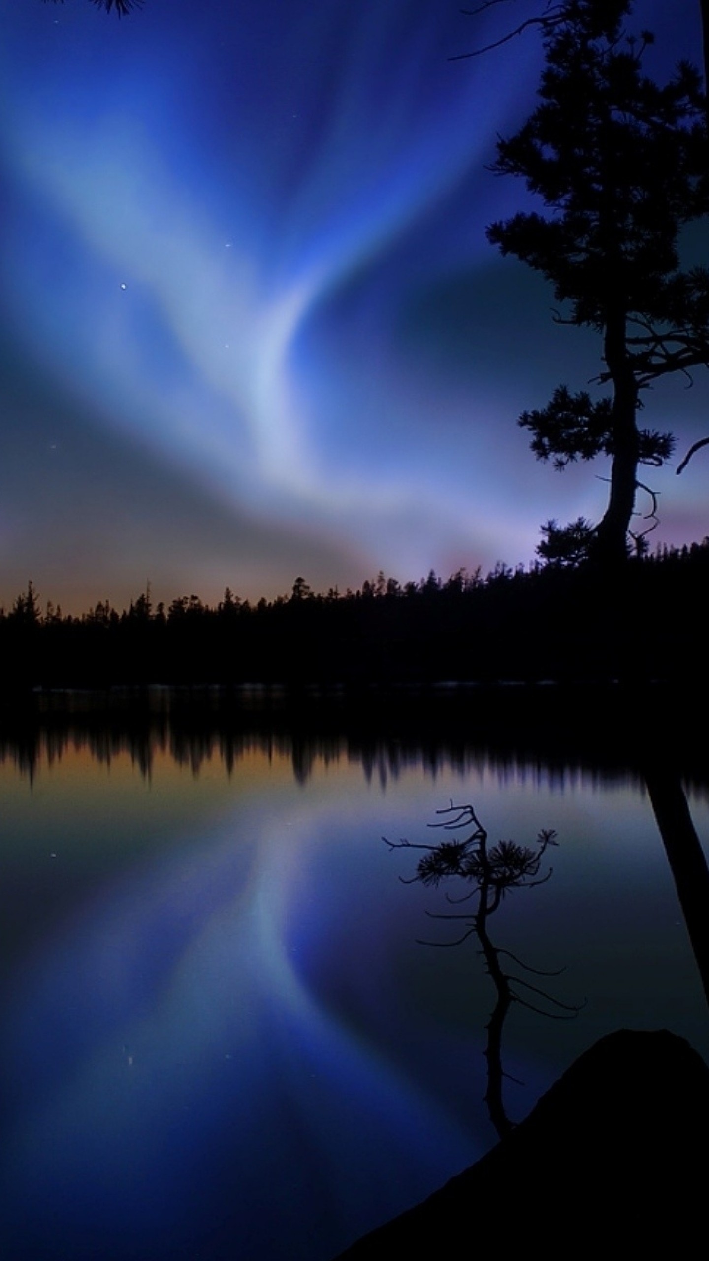 1440x2560 Preview wallpaper night sky, glow, light, lake, outlines 