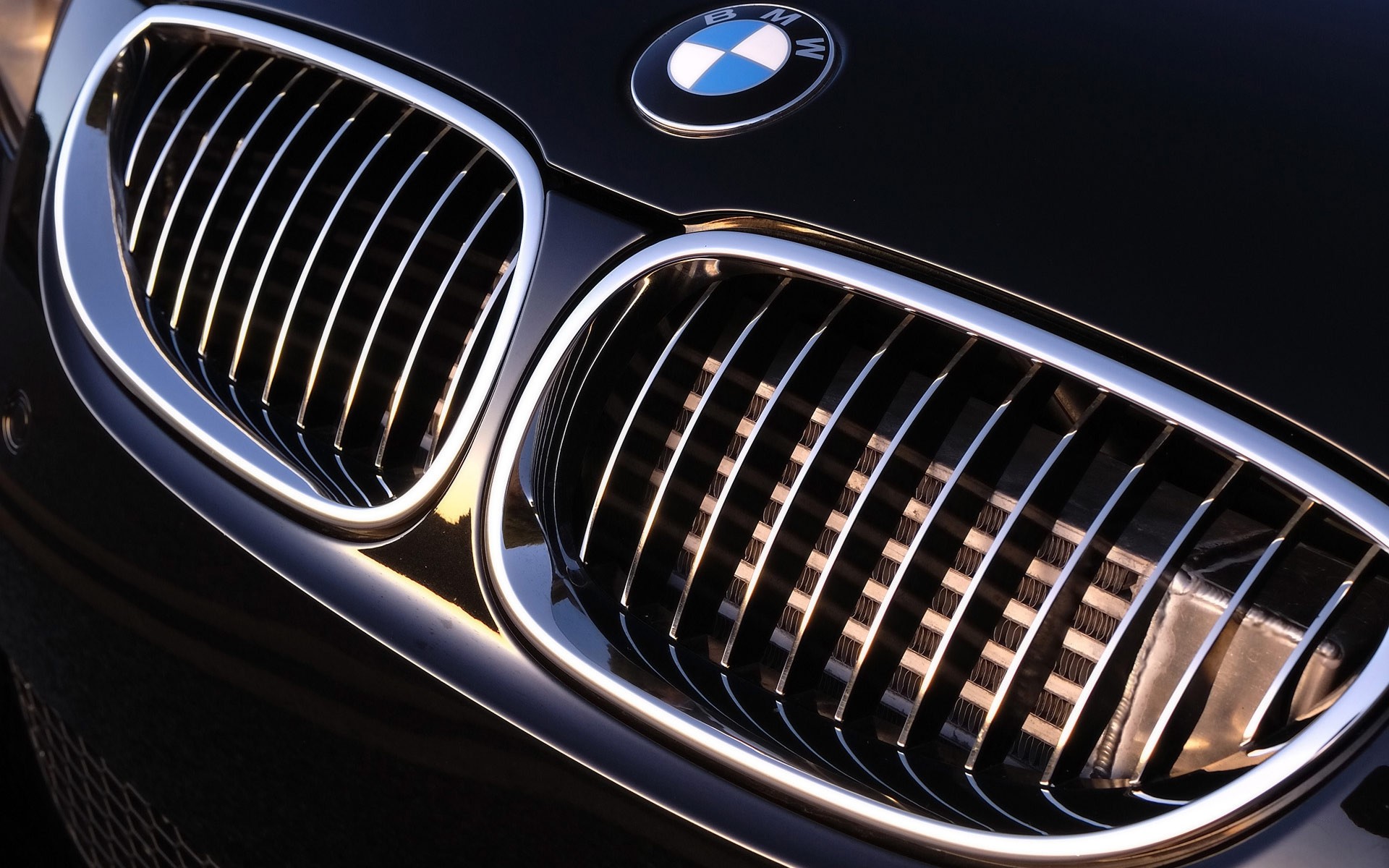 1920x1200 BMW Logo Background Free Download.