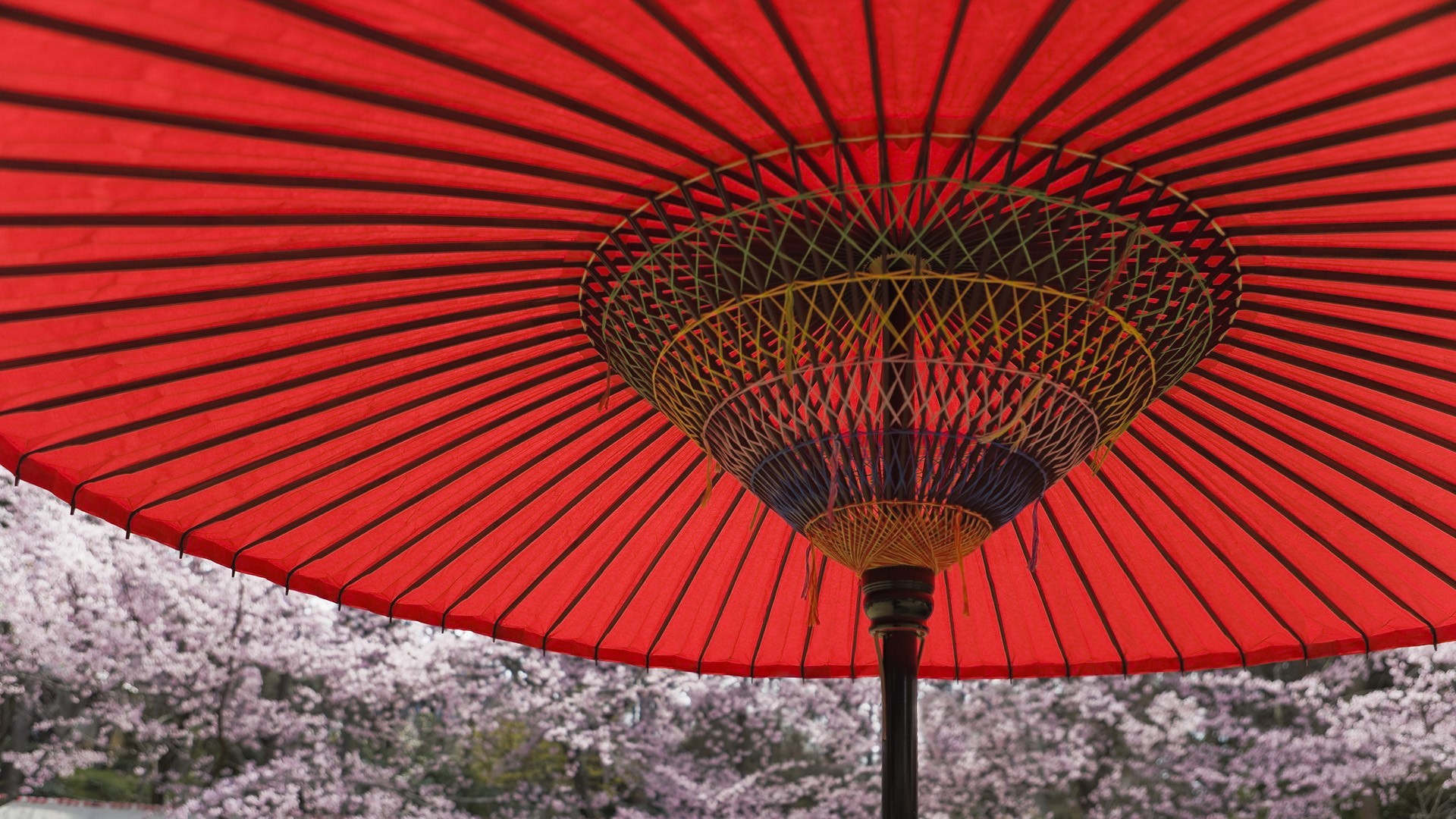 1920x1080 Red Umbrella in Kyoto, Japan