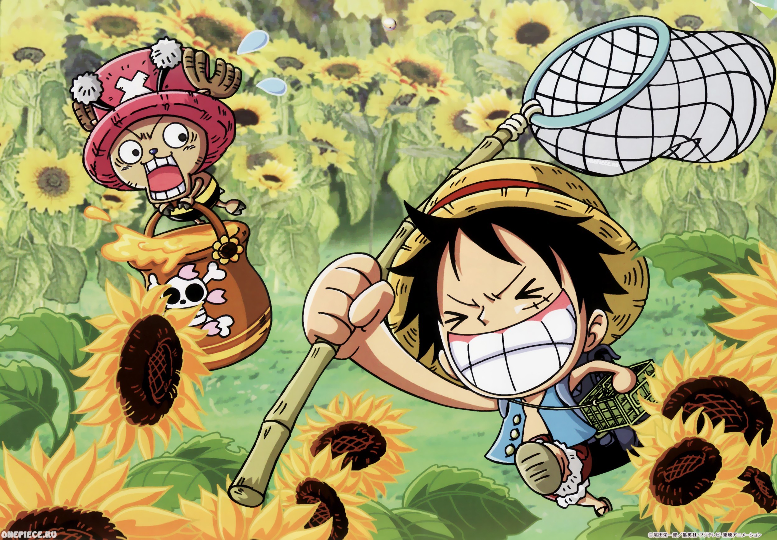 2500x1739 Download One Piece Chibi Luffy Wallpaper  (22787) Full Size .