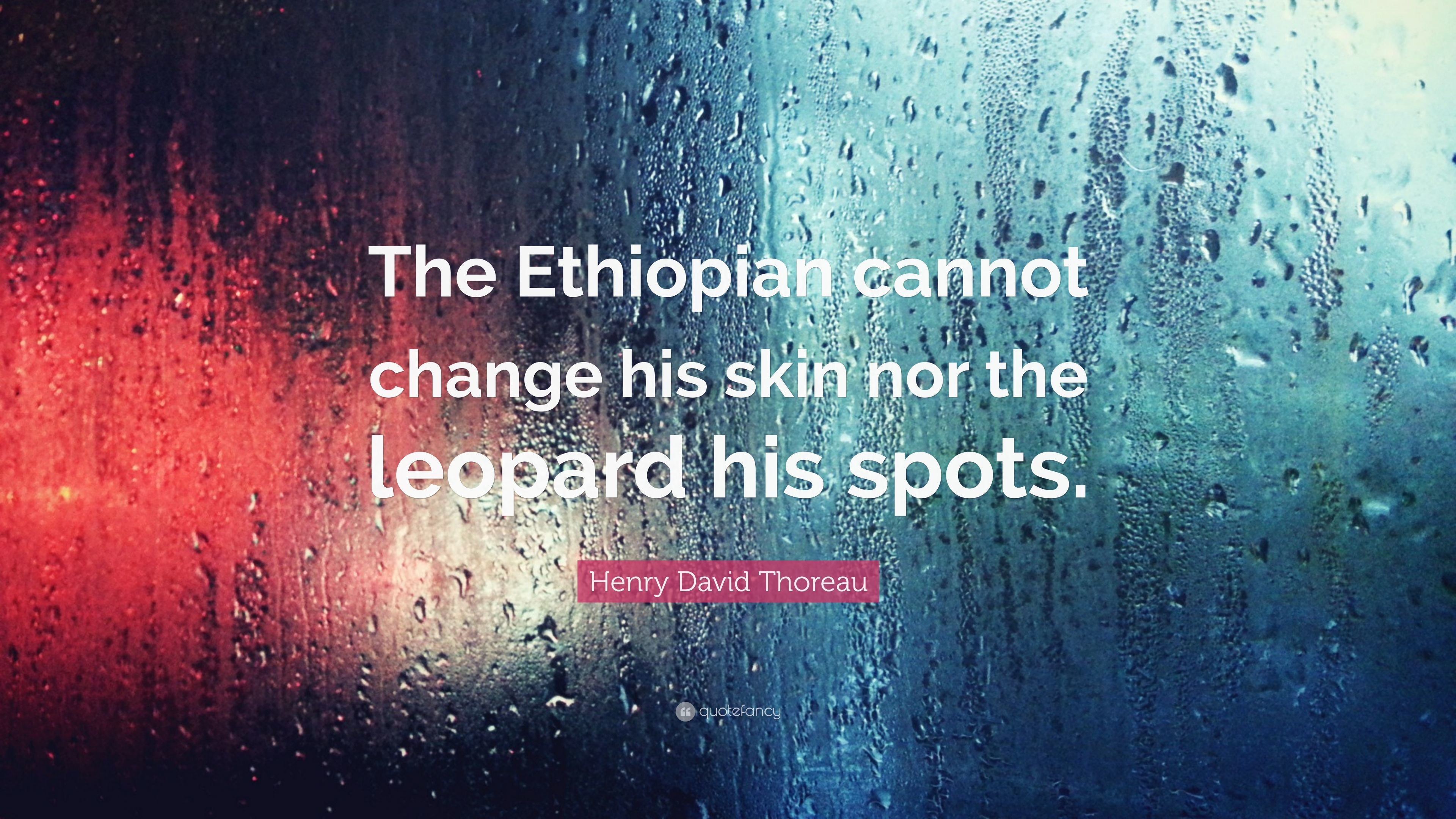 3840x2160 Henry David Thoreau Quote: “The Ethiopian cannot change his skin nor the  leopard his
