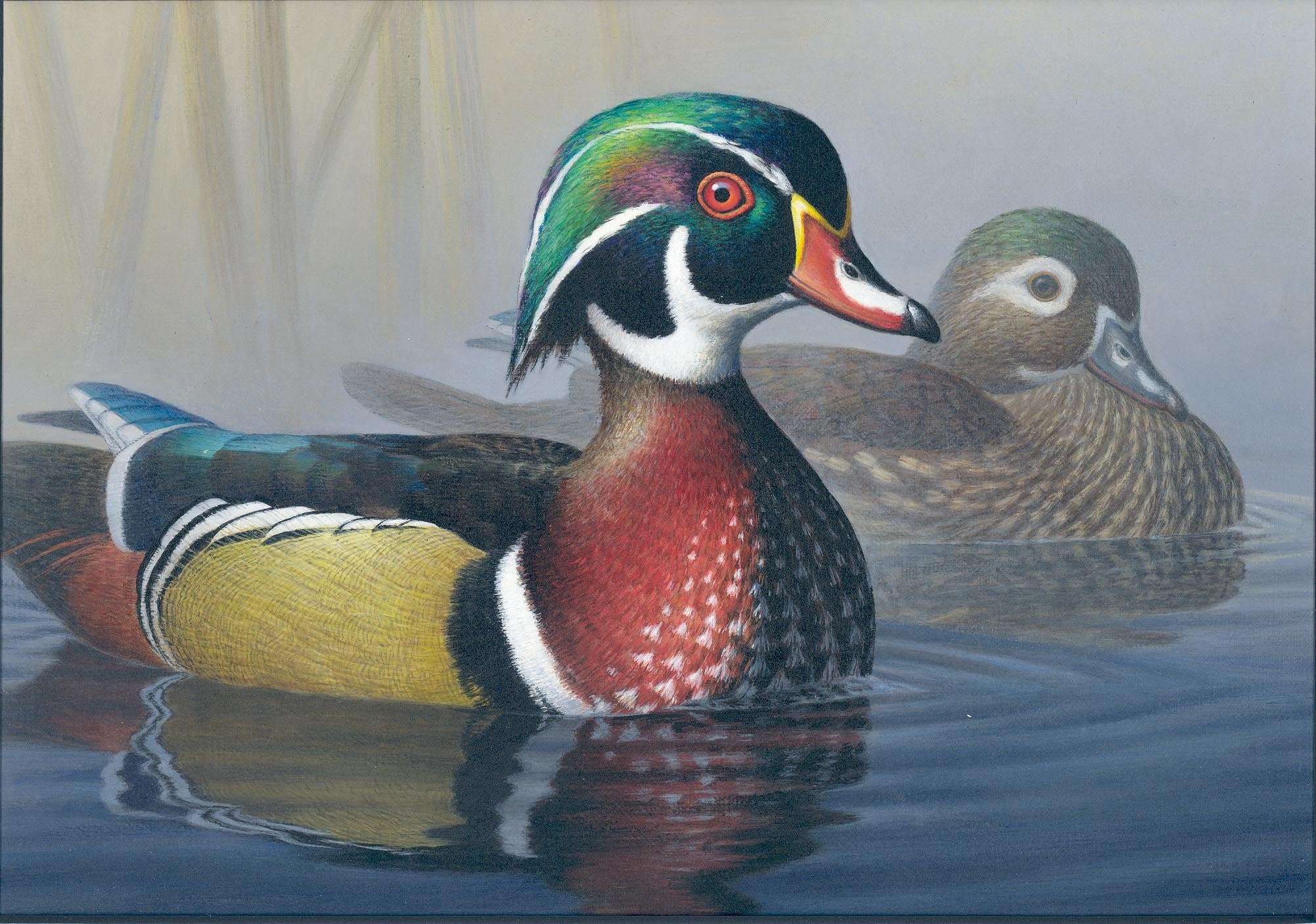 2003x1406 Wood Duck Wallpaper images