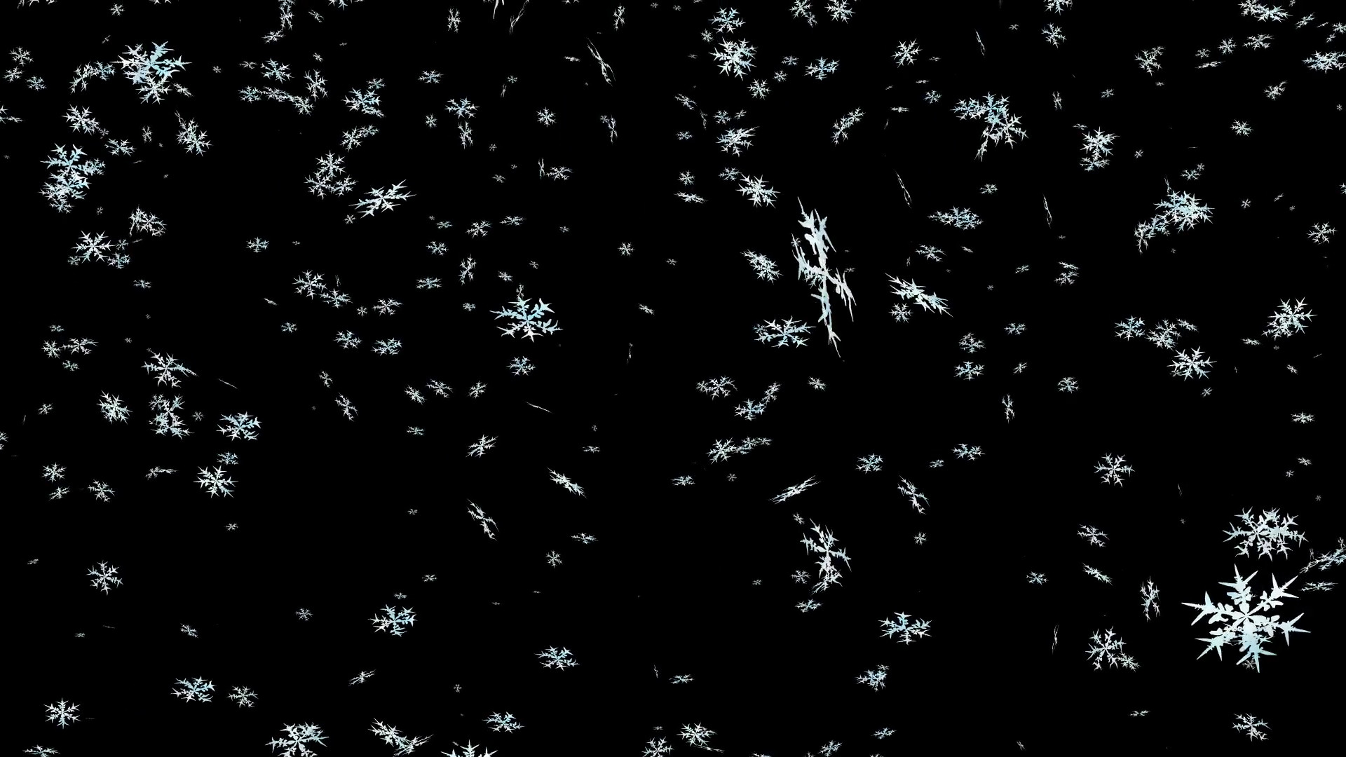 1920x1080 Animated detailed snow flakes on transparent background 2 (Alpha channel  embedded with HD PNG file). Each flake has slight blue and white texture.