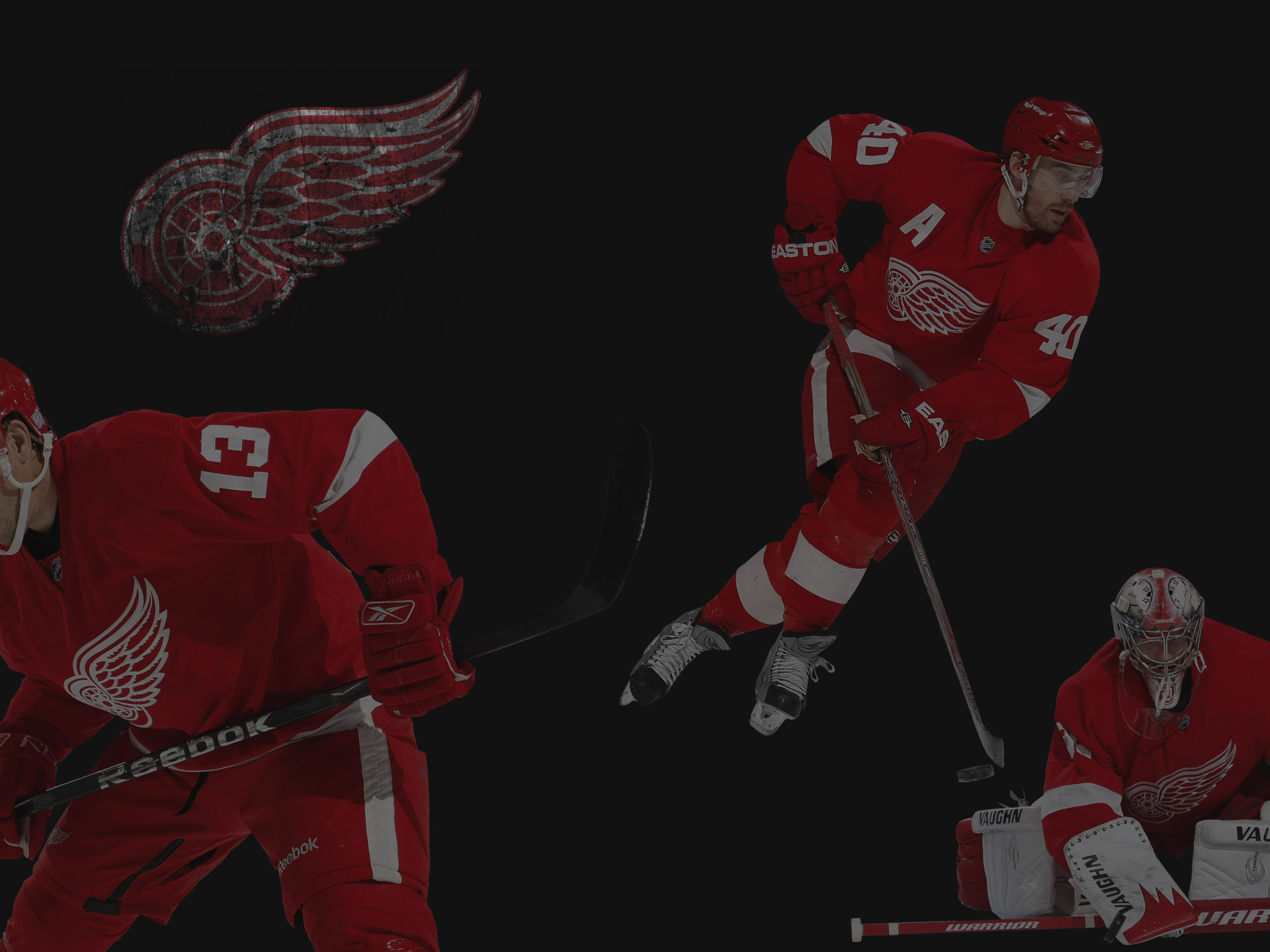 1920x1440 Detroit Red Wings HD Wallpapers