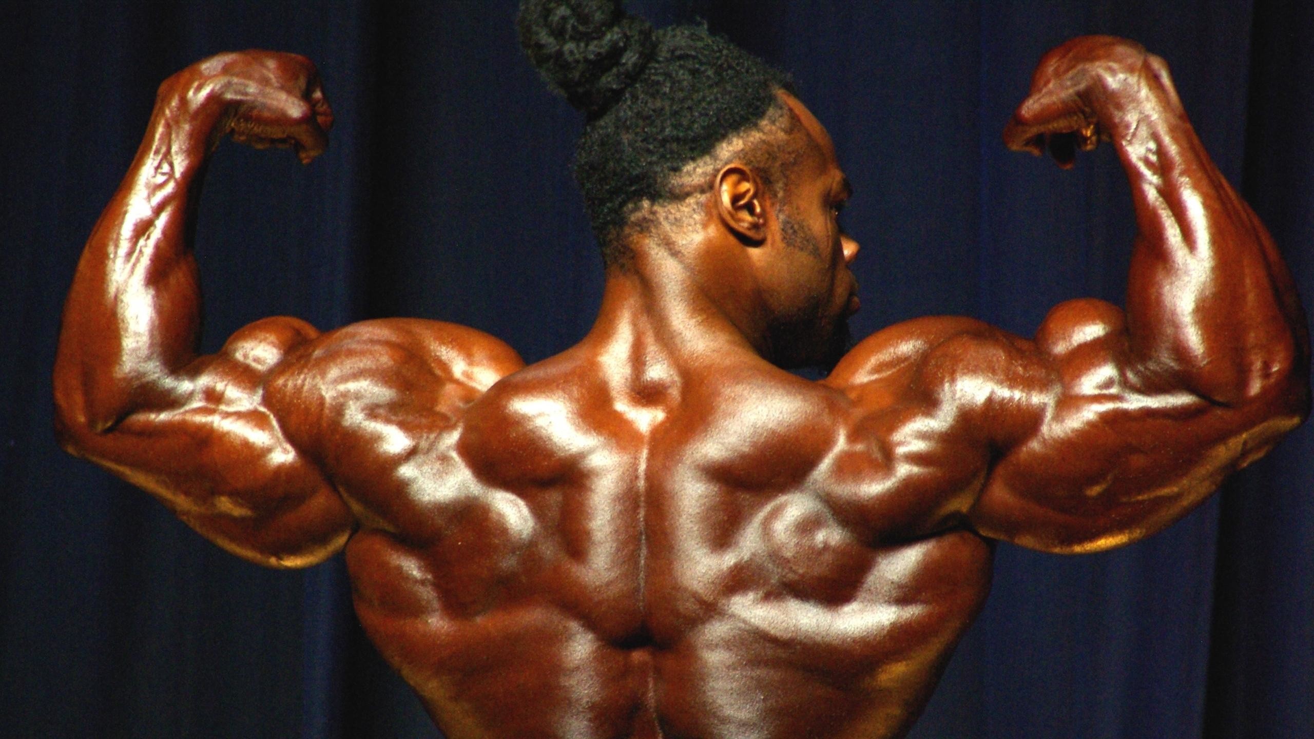 2560x1440 1383x1328 Mr Olympia Wallpapers Group (57+)