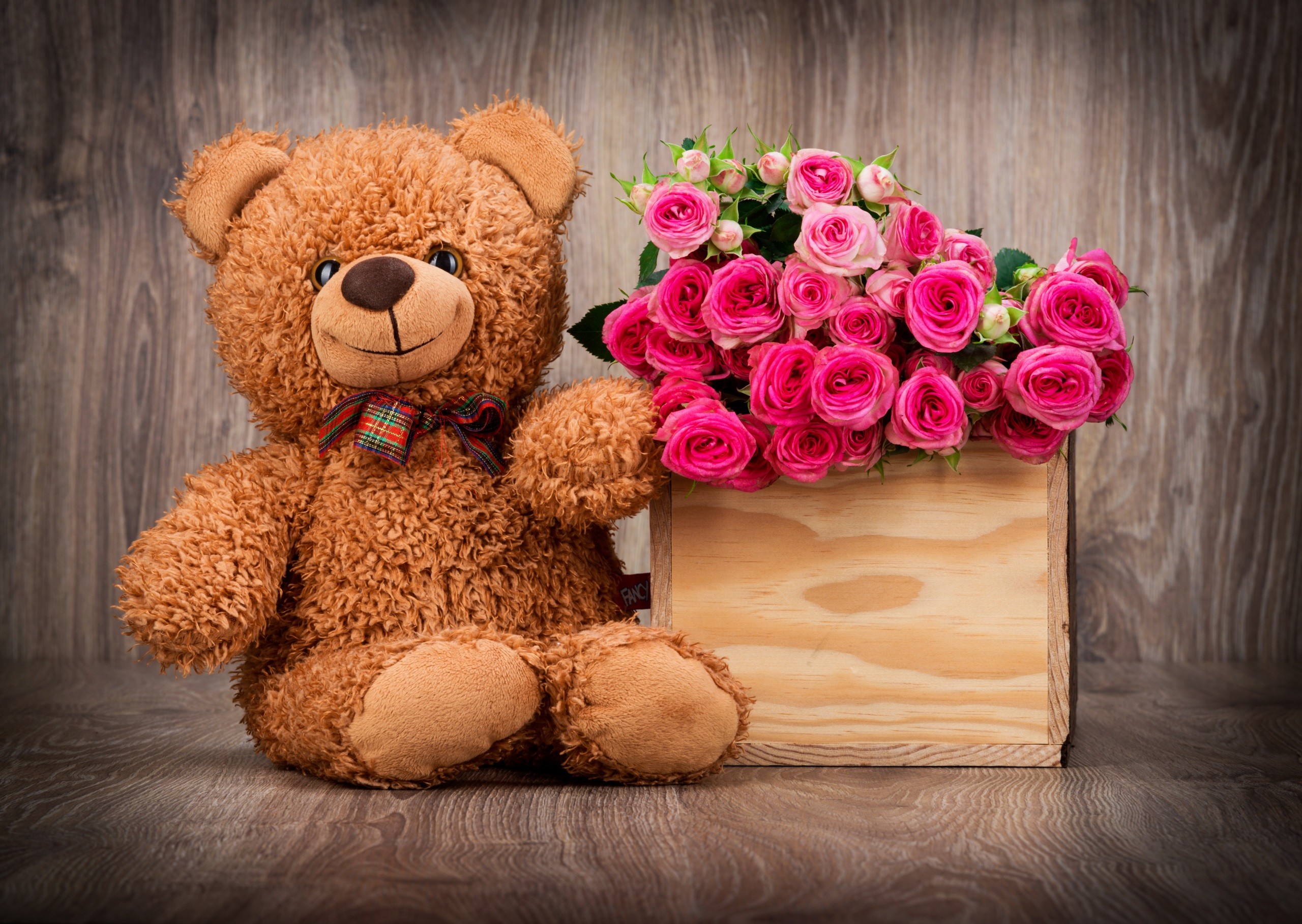 2560x1817 Cute Teddy Bear Wallpaper with Pink Roses in Box | HD Wallpapers for .