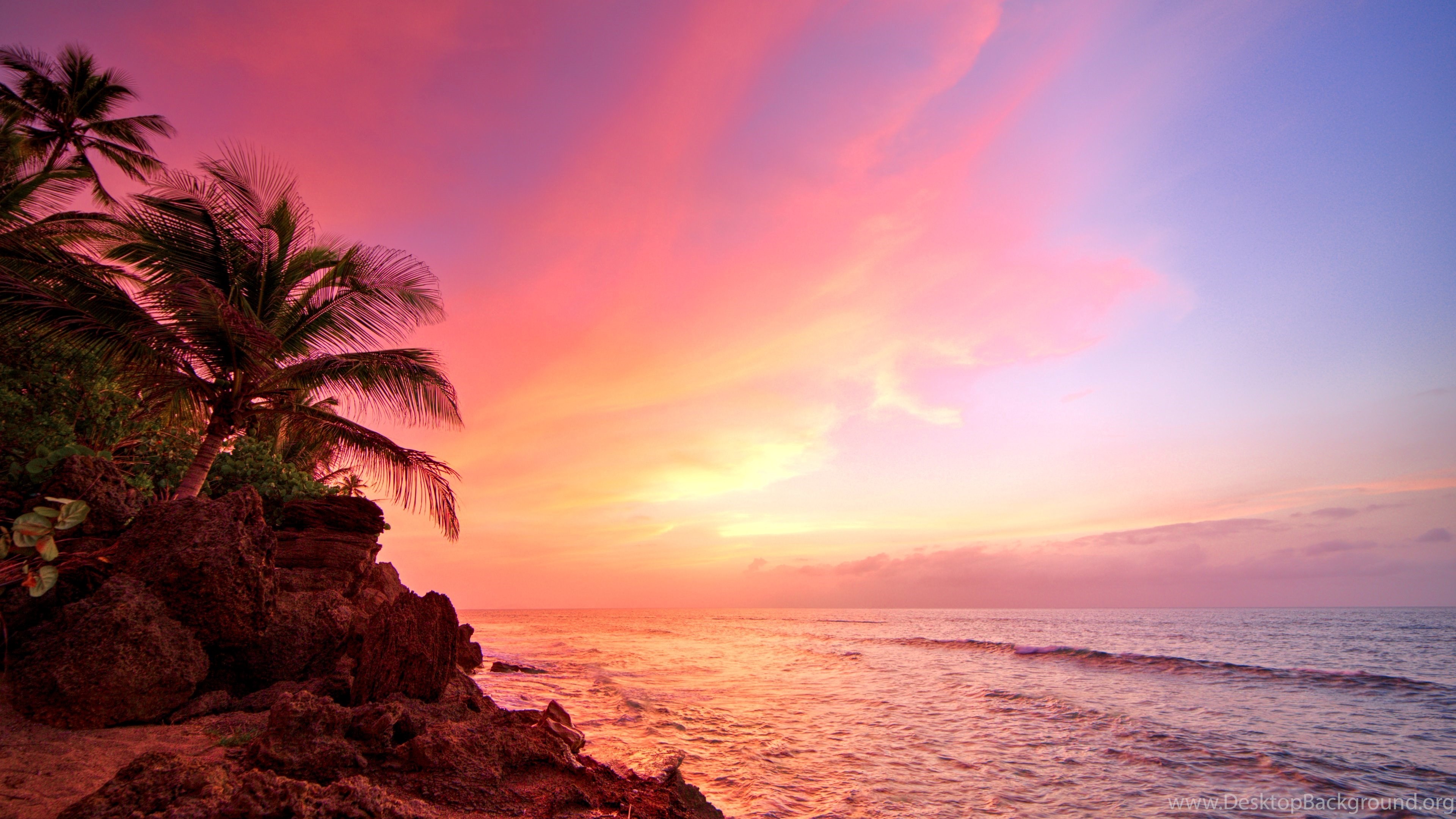 3840x2160 Puerto Rico Rincon Sunset Ocean Palm Trees Desktop Wallpapers