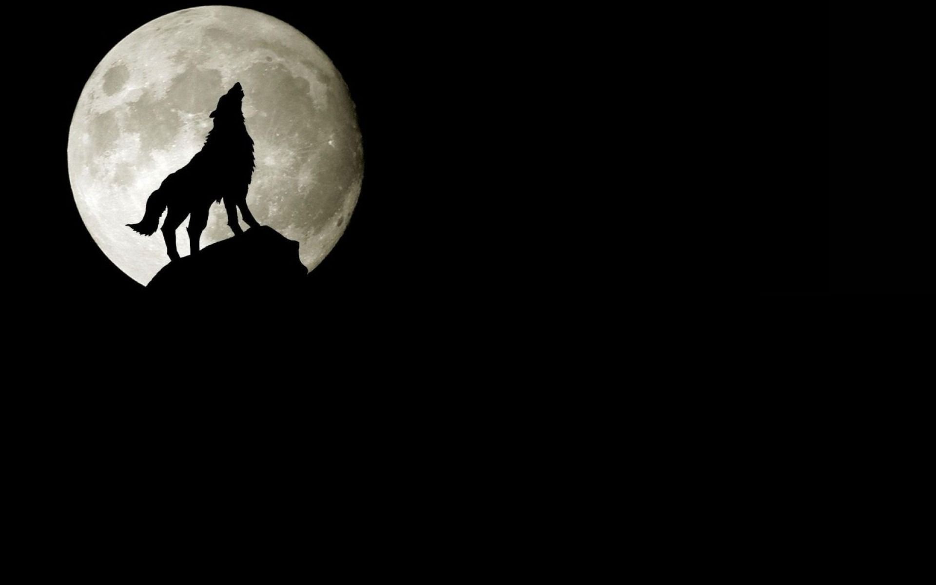 1920x1200 ... Howling wolf silhouette