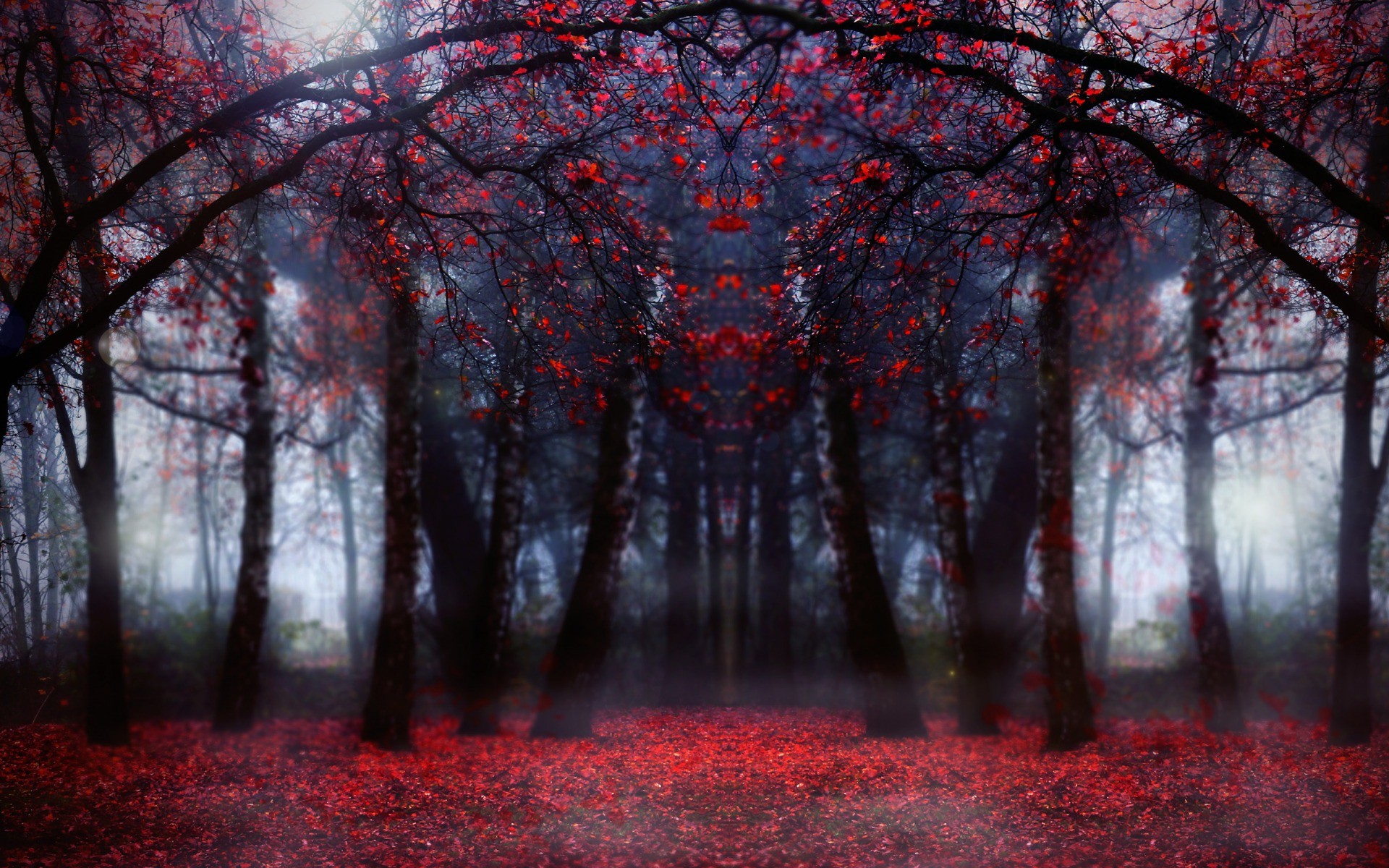 1920x1200 Wallpaper: Free Beautiful HD Magical Red Forest In Focus Wallpaper