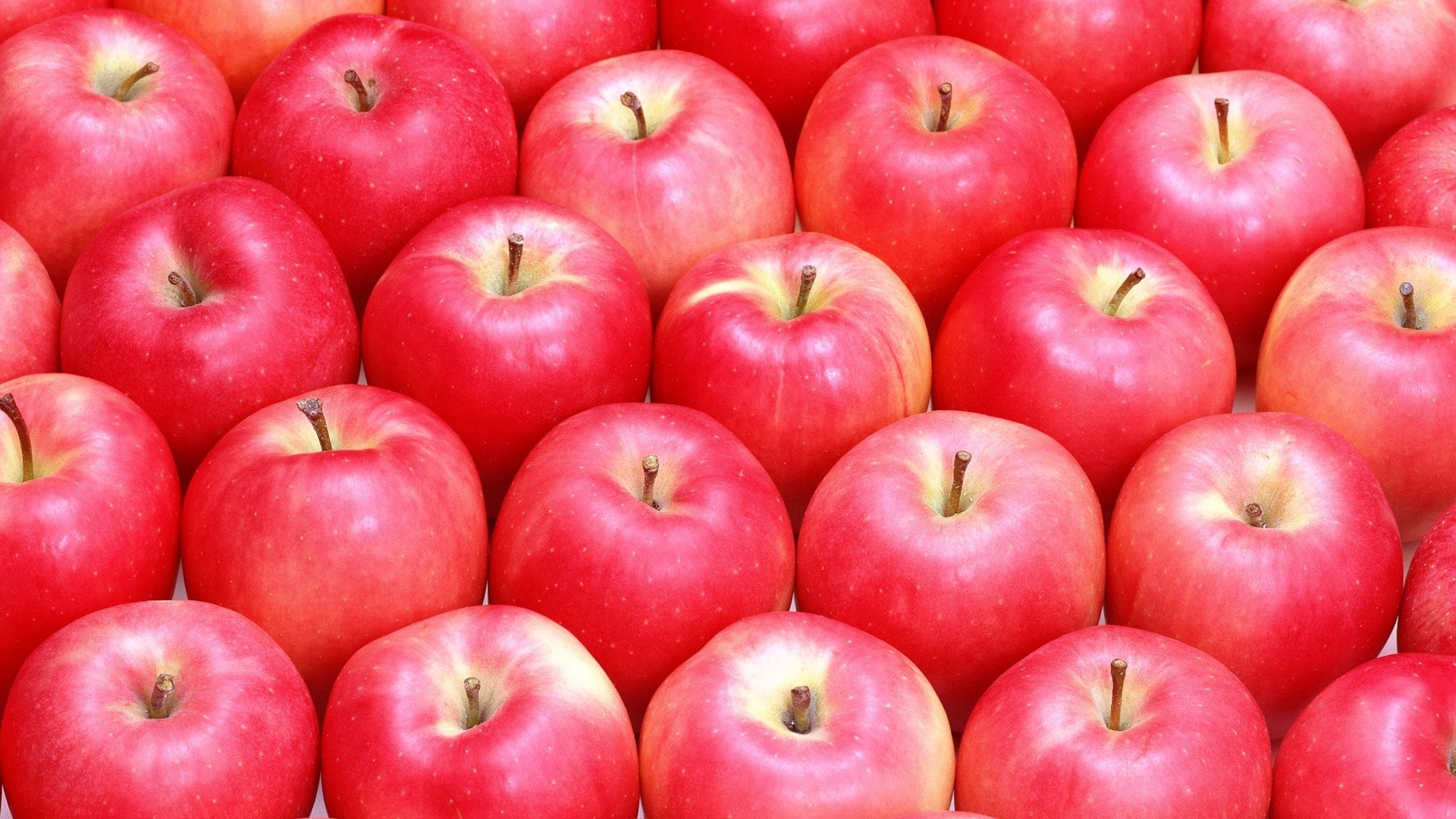 1920x1080 Apple Apples Red Hd Nature Computer Backgrounds - 