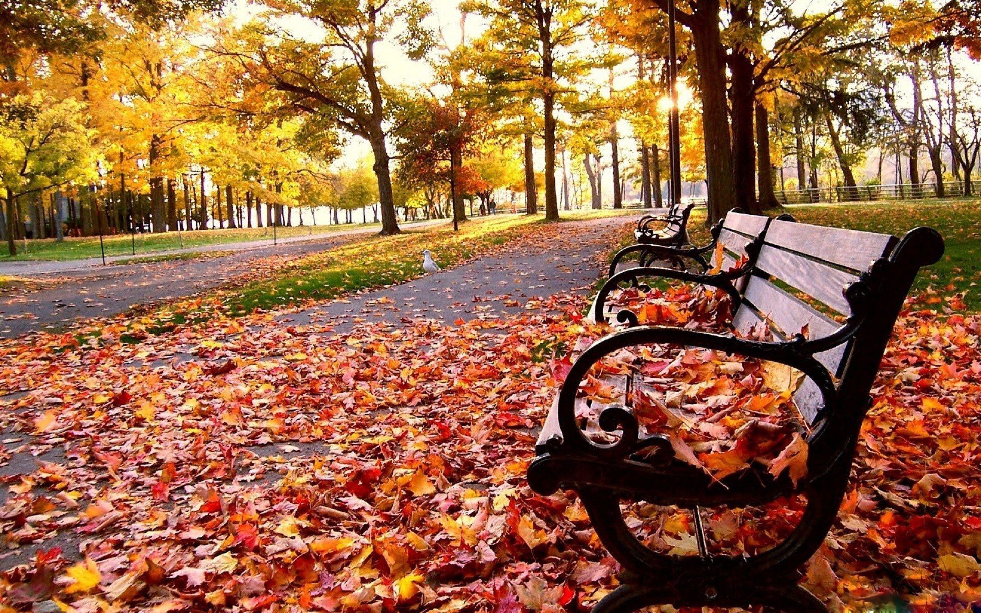 1920x1200  Cute Autumn Wallpapers Group (58+)">
