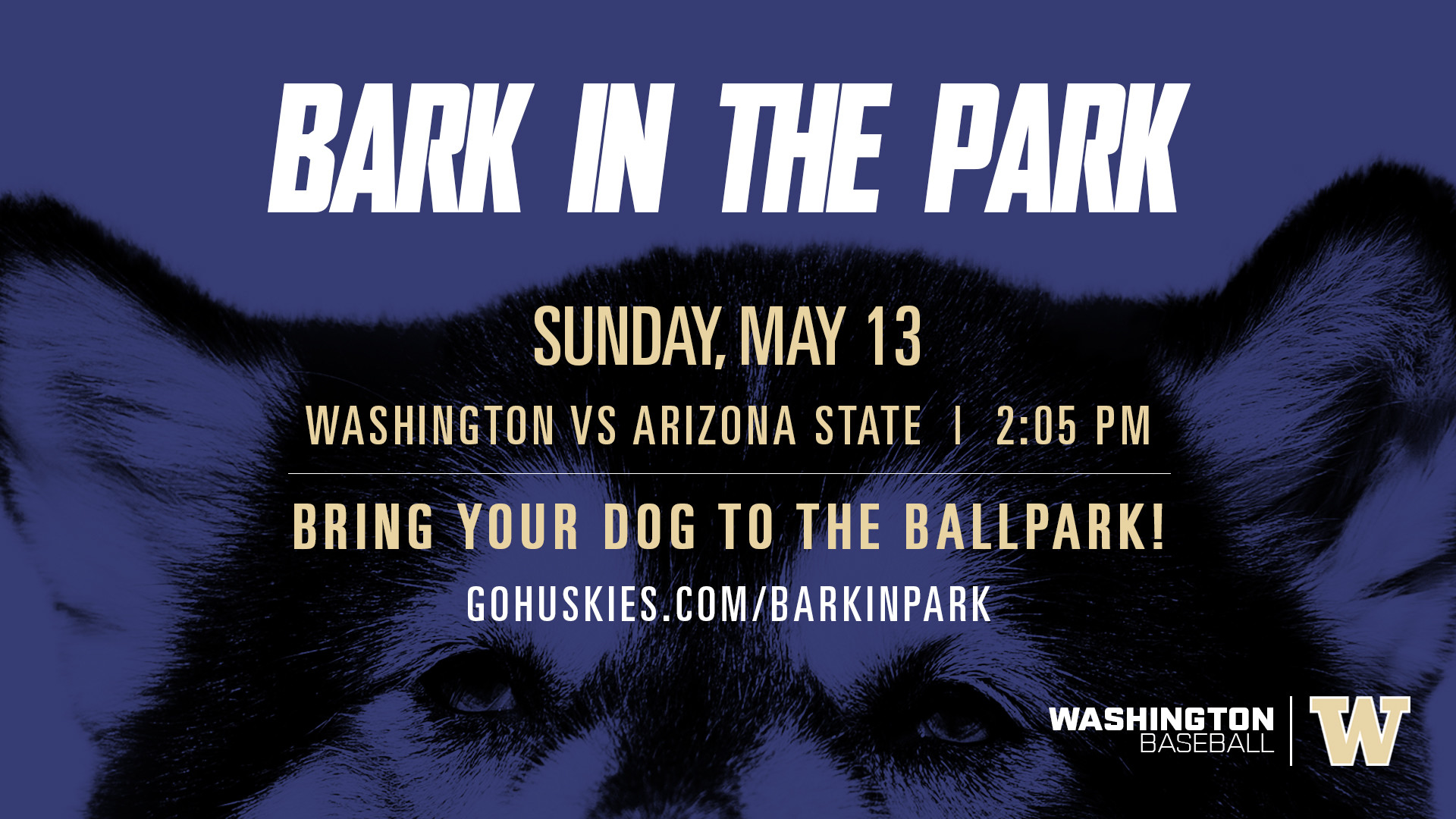 1920x1080 Washington Baseball // Bark in the Park // Sunday, April 24, 2016. Husky  Ballpark Washington vs St. Mary's // 1:00 PM