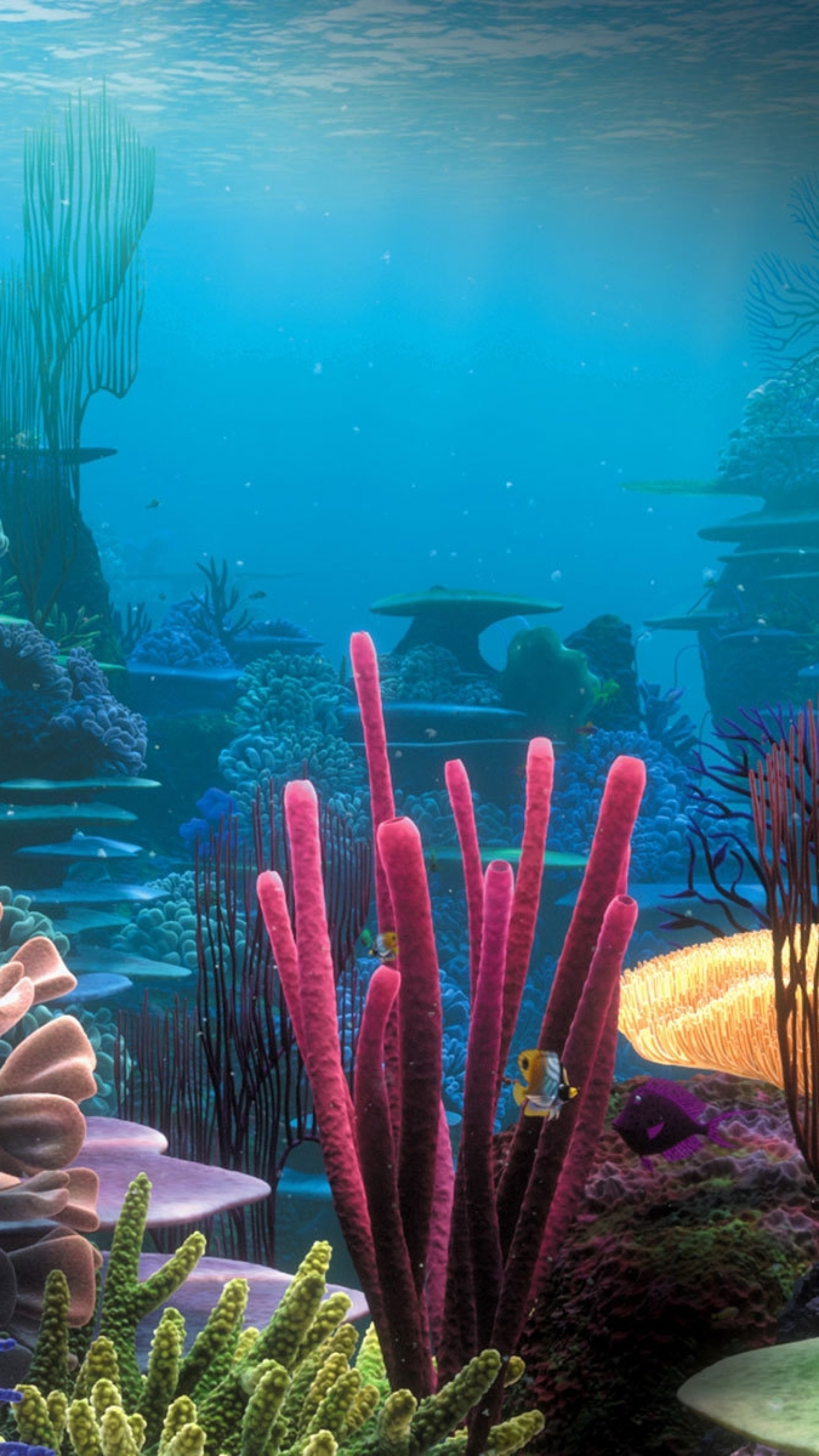 2160x3840  Wallpaper bottom, ocean, corals, multi-colored, under water, world