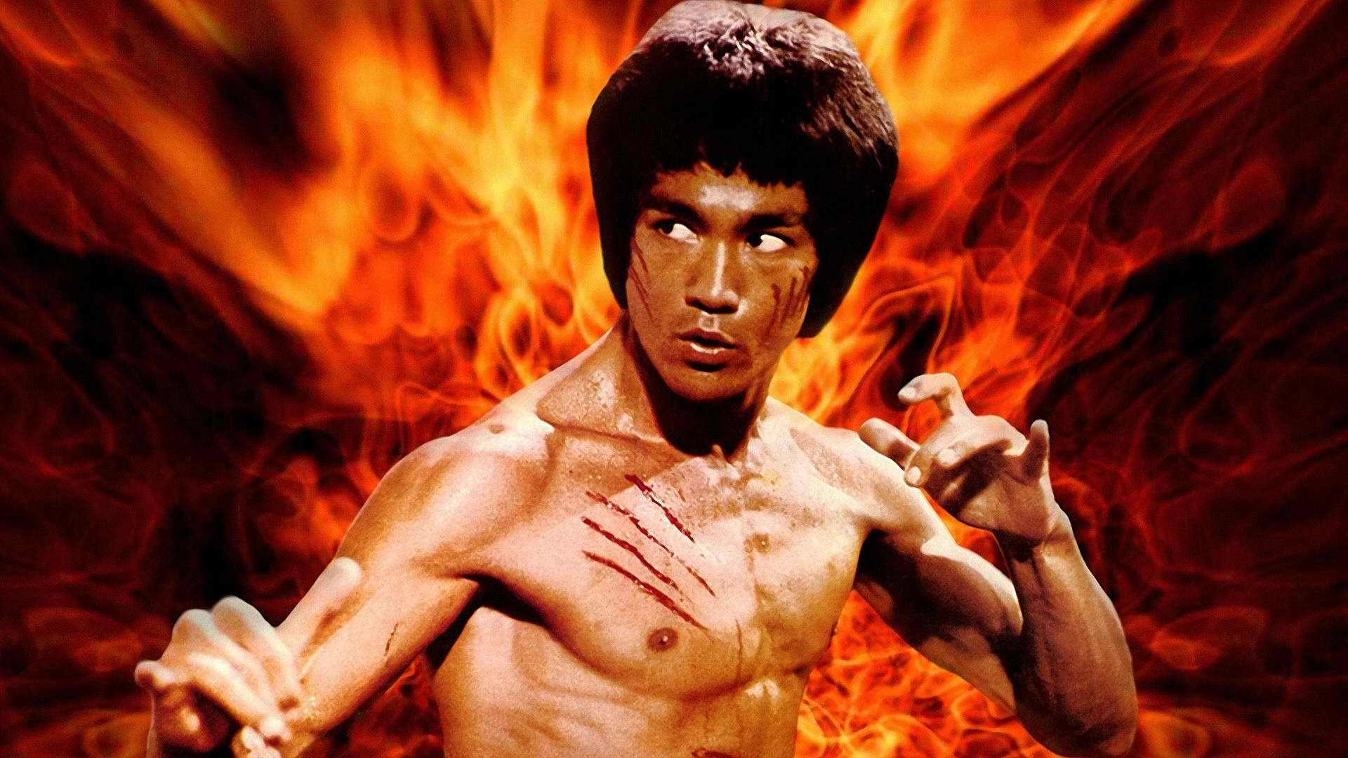 1920x1080 Bruce Lee Wallpapers 1080p On Wallpaper Hd 1920 x 1080 px 623.08 KB wing  chun enter