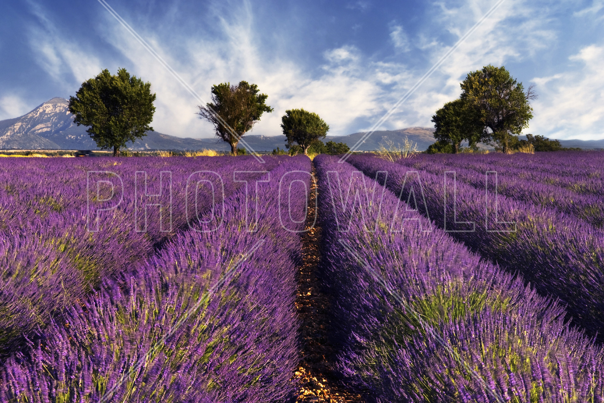 2000x1333 Provence Wallpapers - Wallpaper Cave