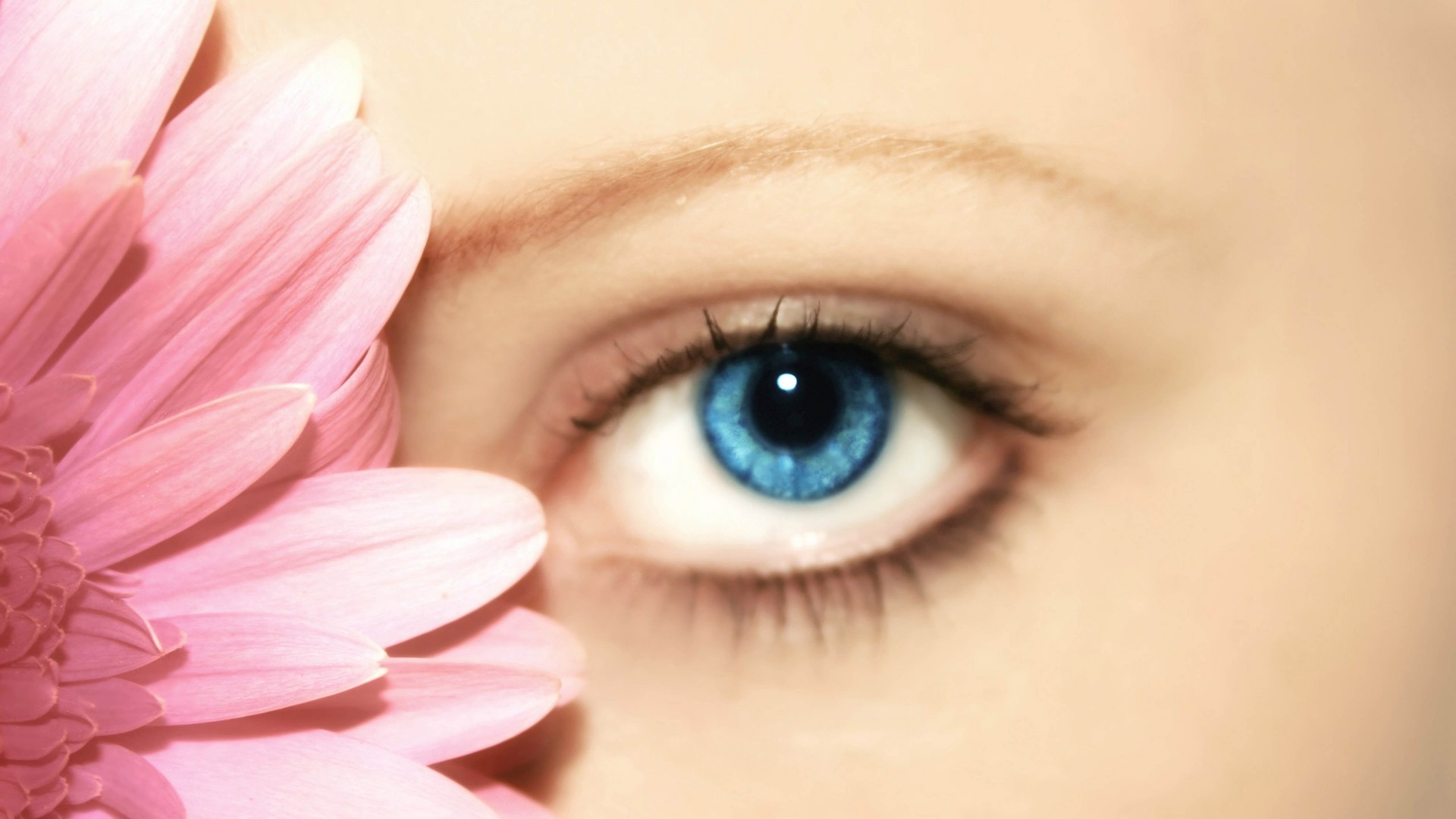1920x1080 Preview wallpaper blue eyes, flower, person 