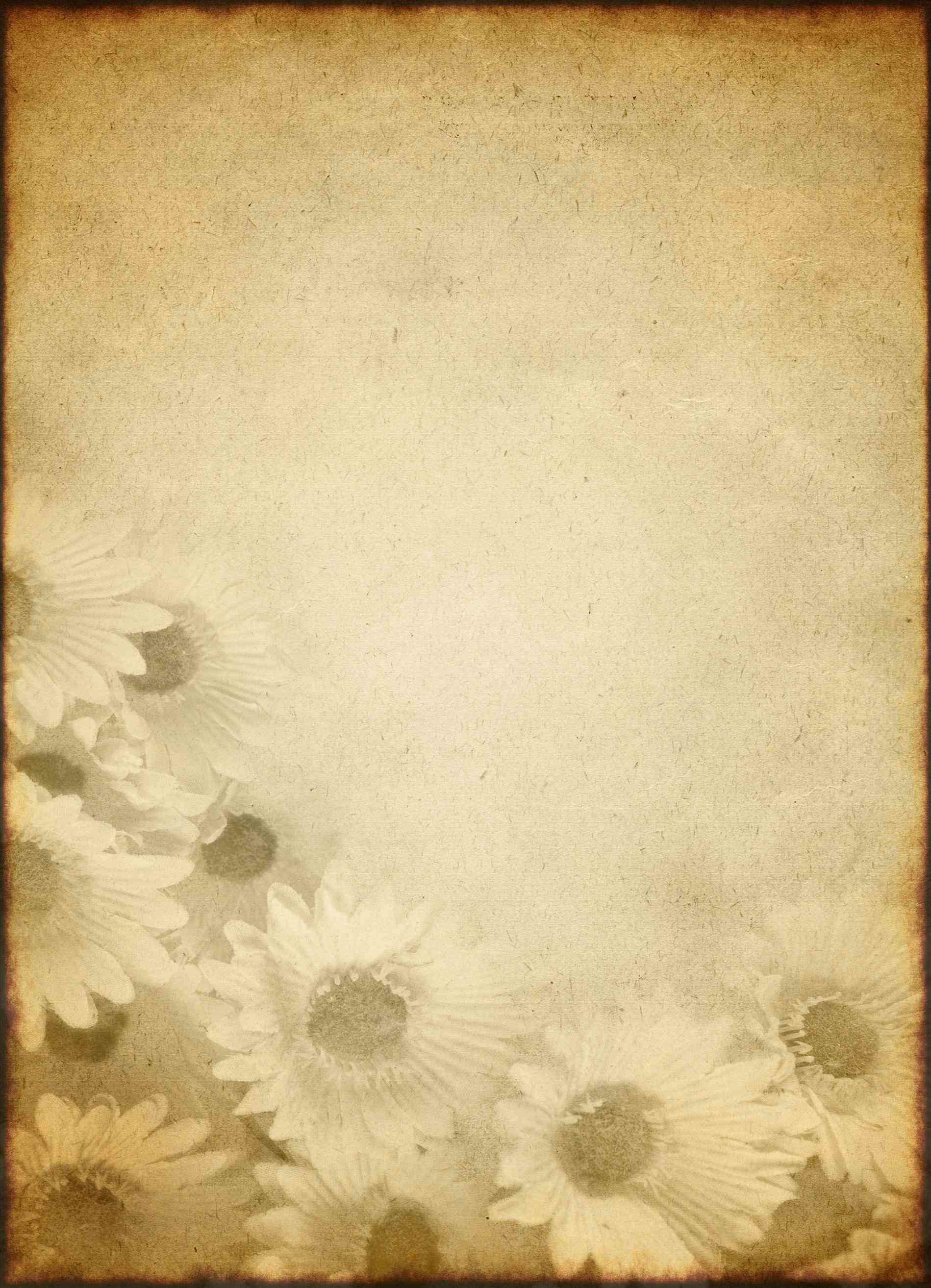 1899x2628 Paper Template faded and worn floral design on old paper or parchment  wallpaper wallpapersafari paper Parchment