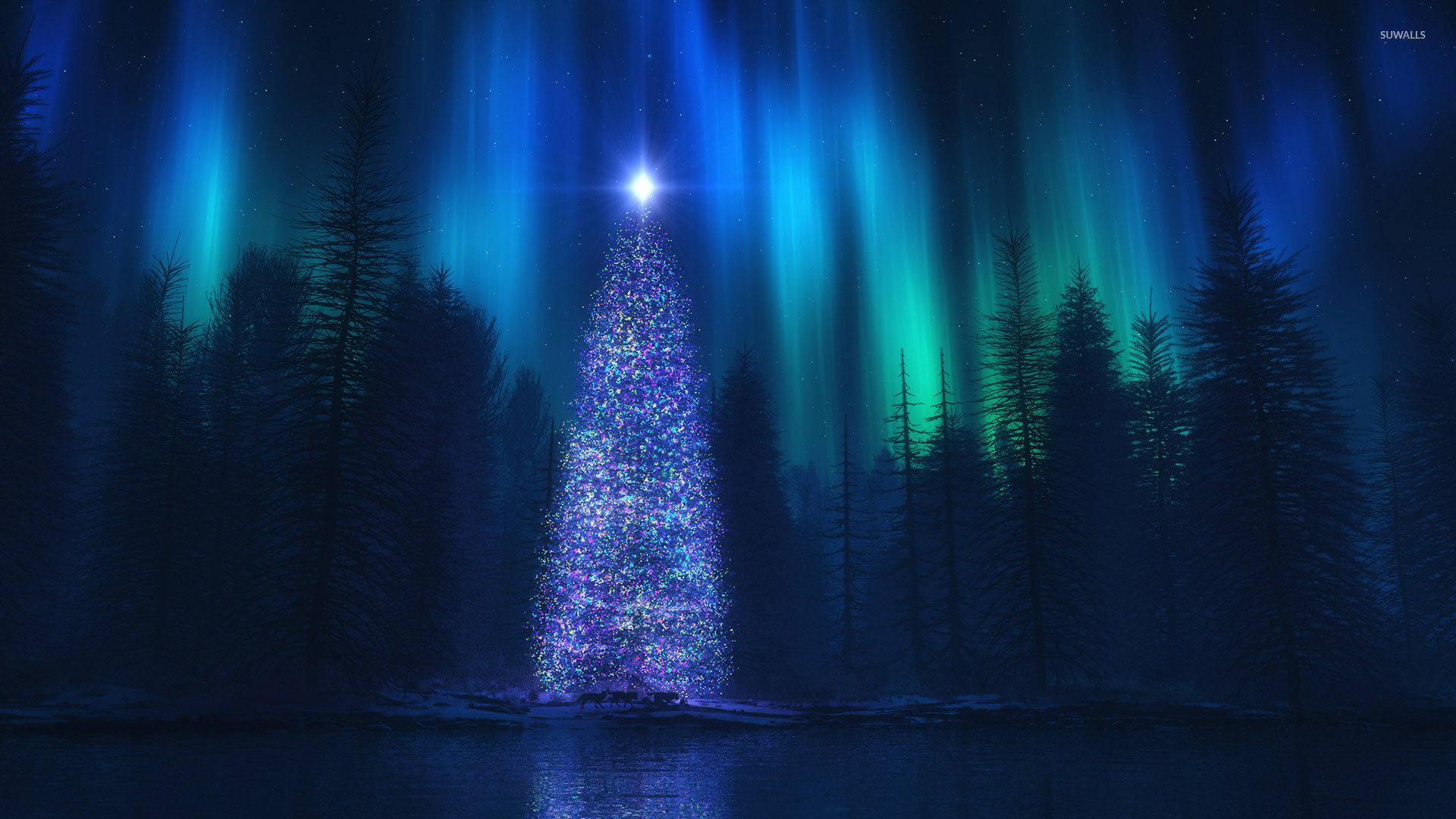 1920x1080 Christmas tree in the forest wallpaper  jpg
