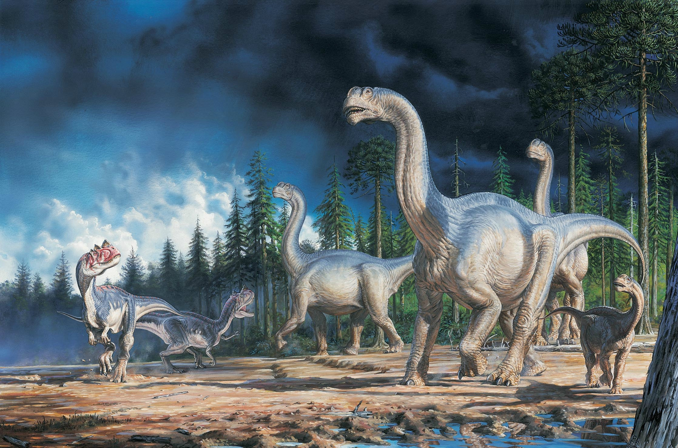 2235x1476 animal dinosaur Wallpaper Backgrounds