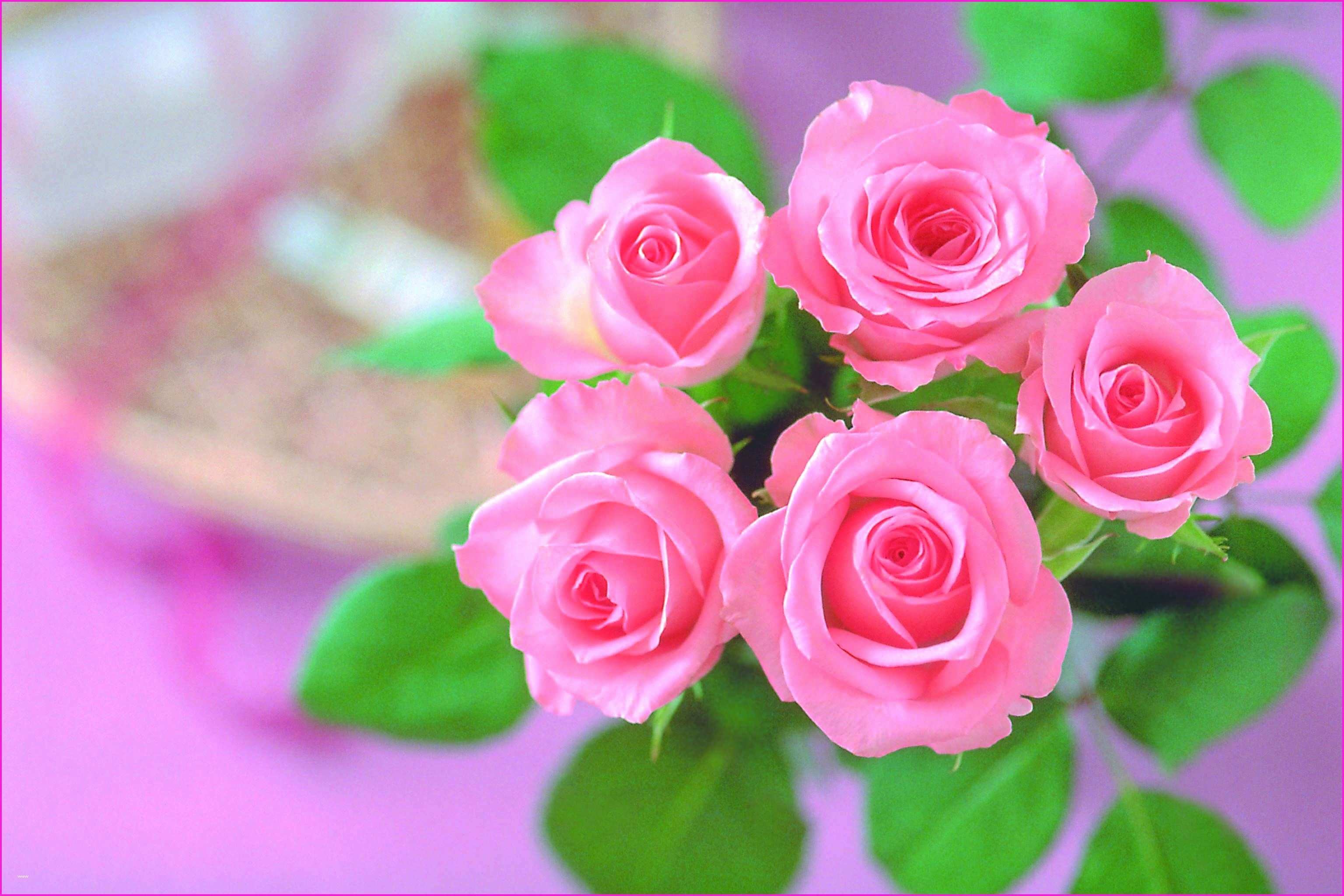 3072x2048 Pink Rose Bouquet Wallpaper Beautiful Flowers Valentines Day Background Wallpapers  Laptop Screen