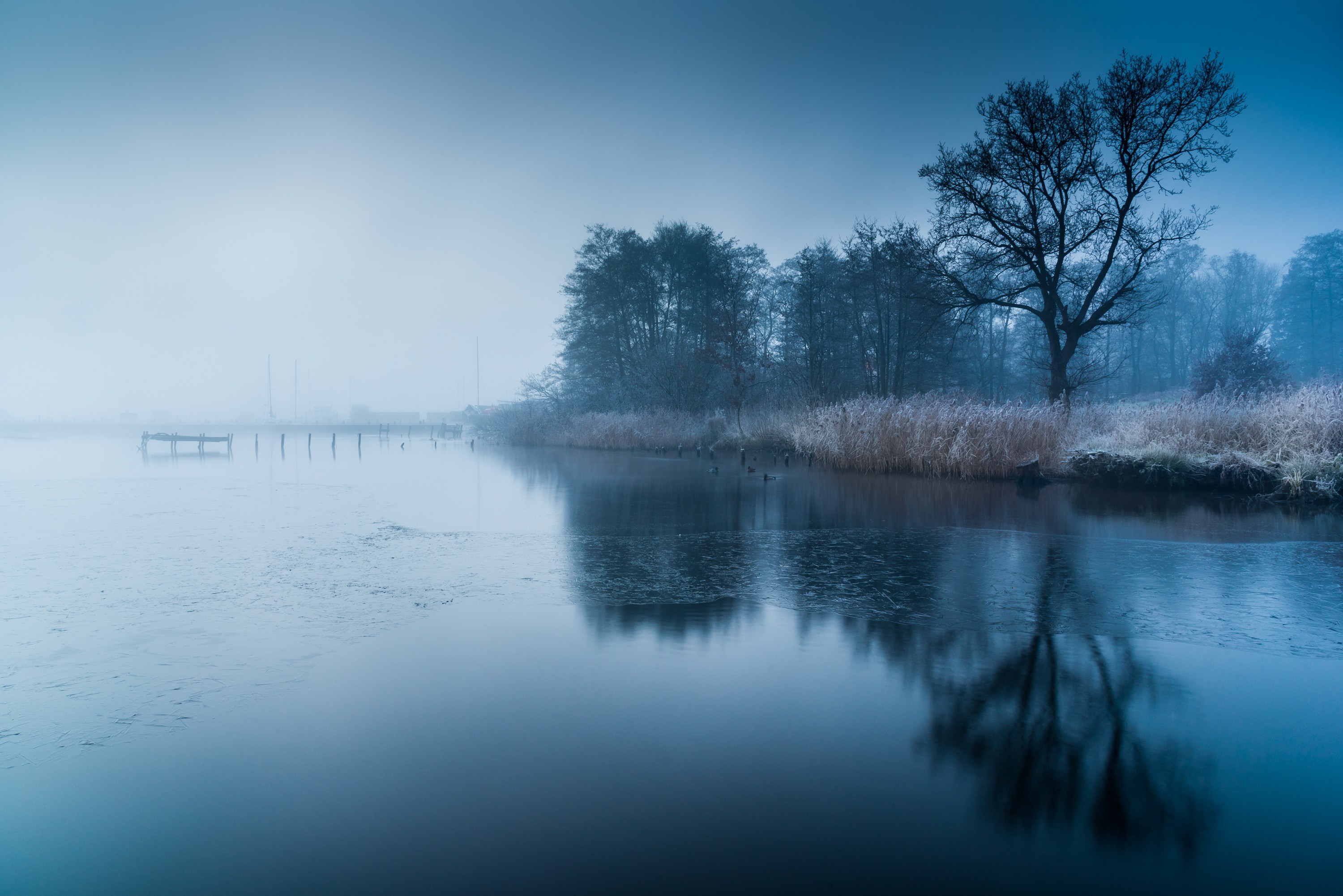 3000x2003 General  water trees frozen lake mist cold nature blue lake