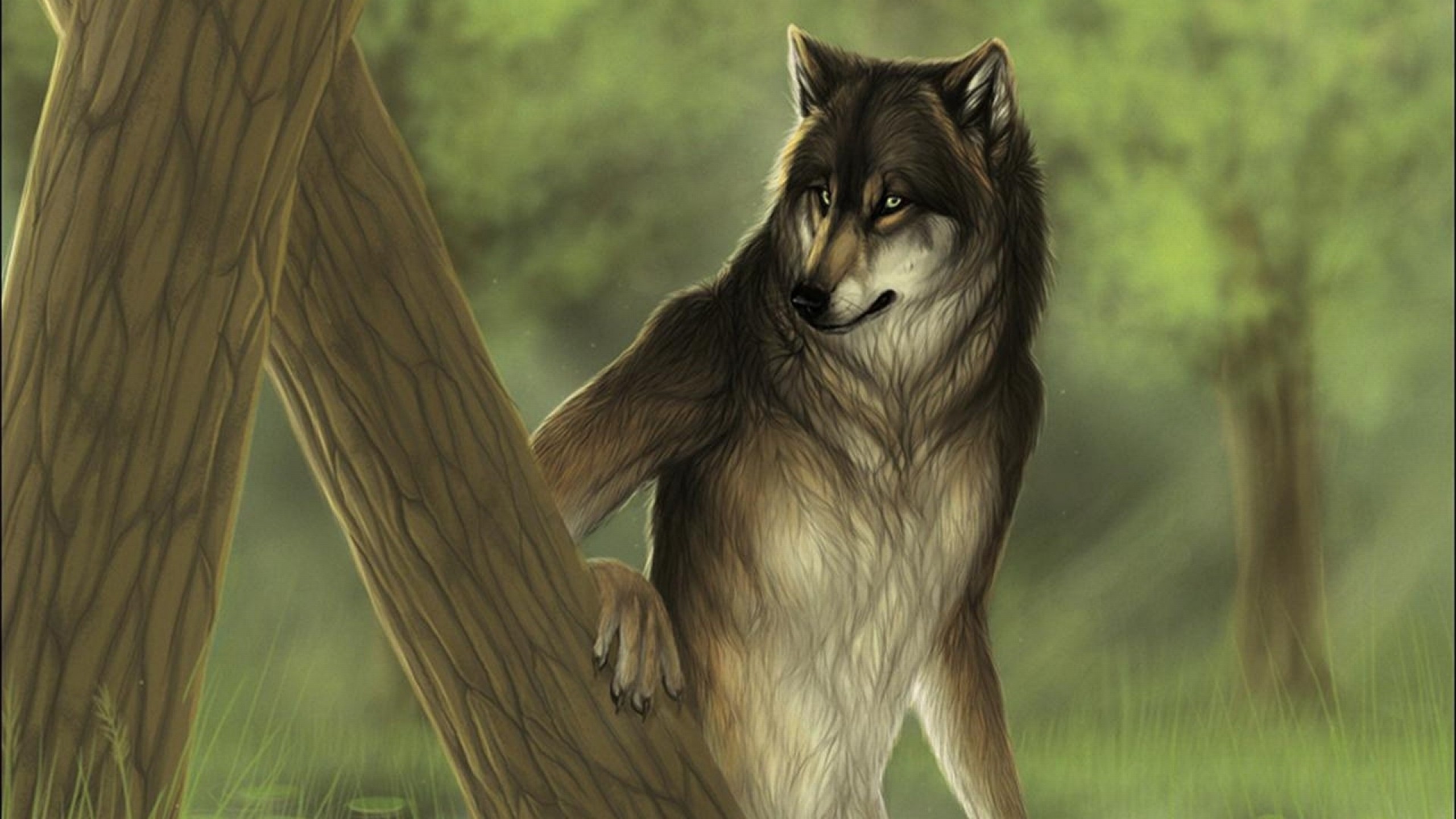 Furry Wolf Wallpaper (73+ images)