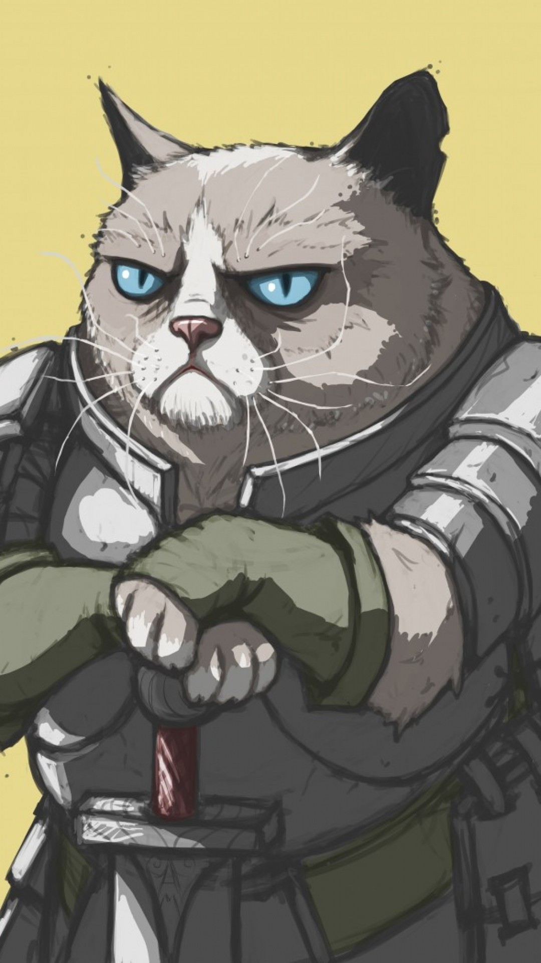 1080x1920  Wallpaper grumpy cat, armor, meme, popular