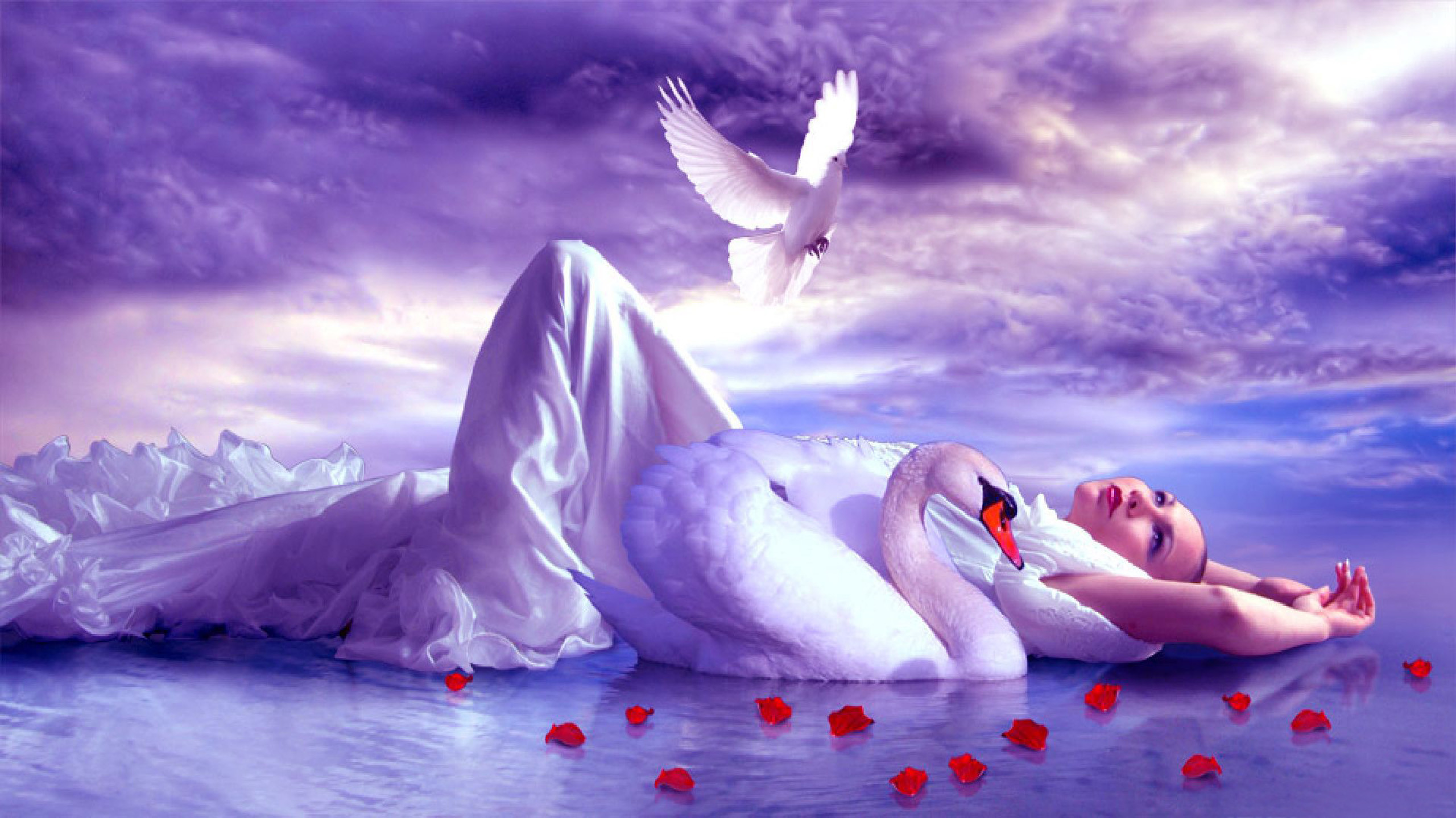 2560x1440 Girl Lake Accompaniment Of A Swan And Golub Sky With White Clouds Red Rose  Sheet Fantasy Hd Wallpaper : Wallpapers13.com
