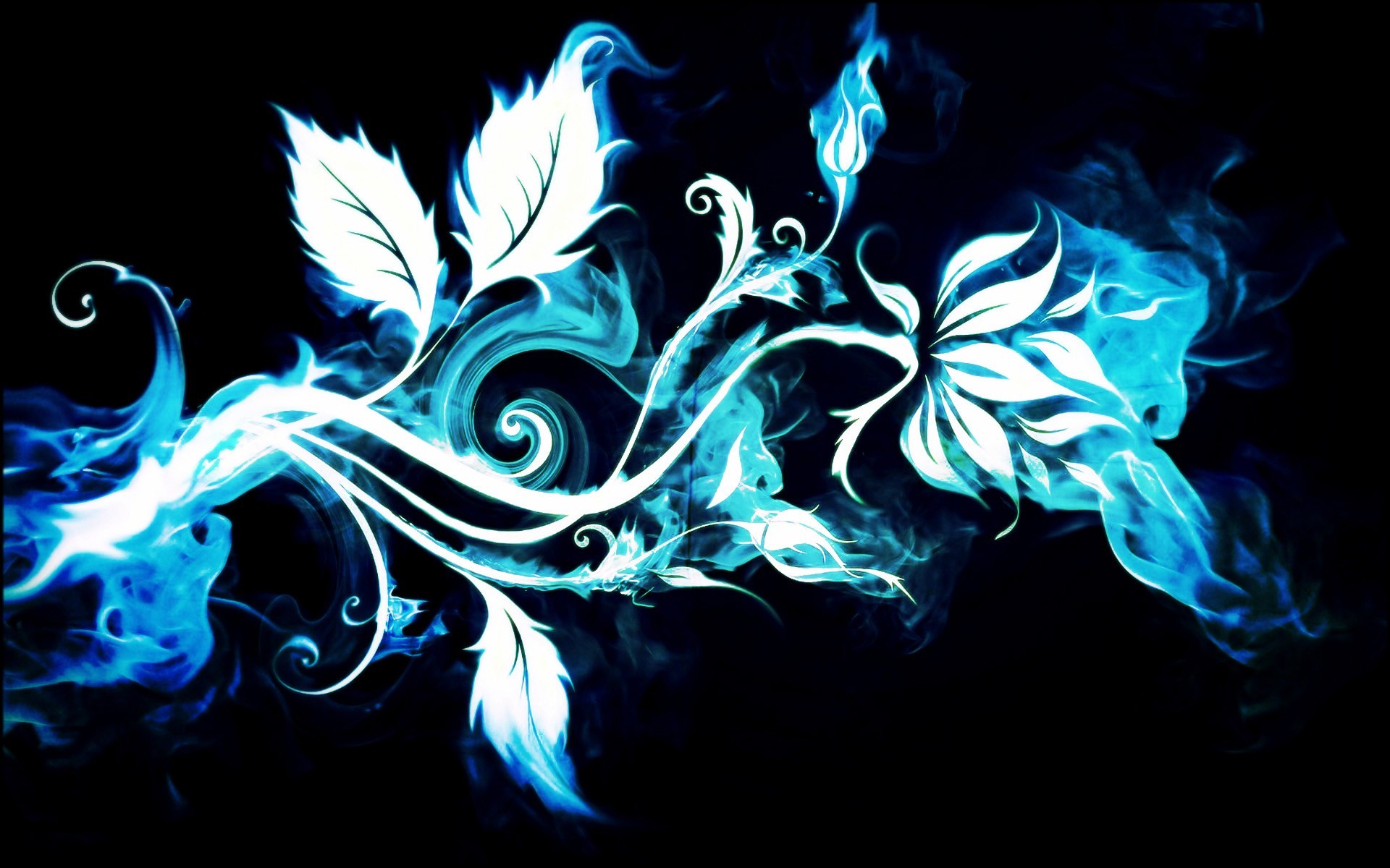 1920x1200 pictures fire flower wallpapers hd