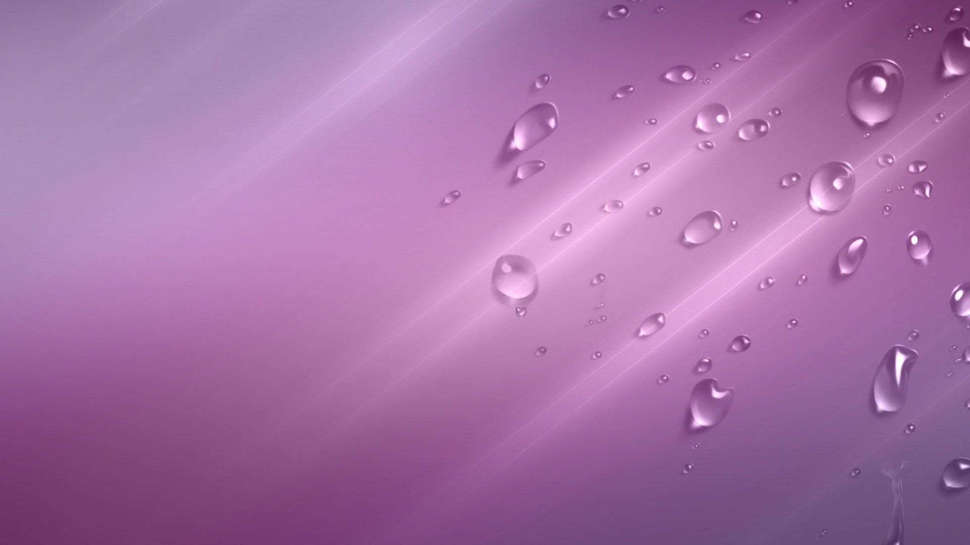 Purple Plain Background HD Purple Wallpapers  HD Wallpapers  ID 75268