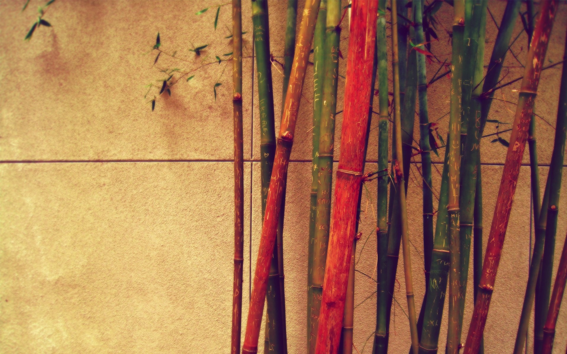 1920x1200 Bamboo Sticks Against The Wall HD Wallpaper