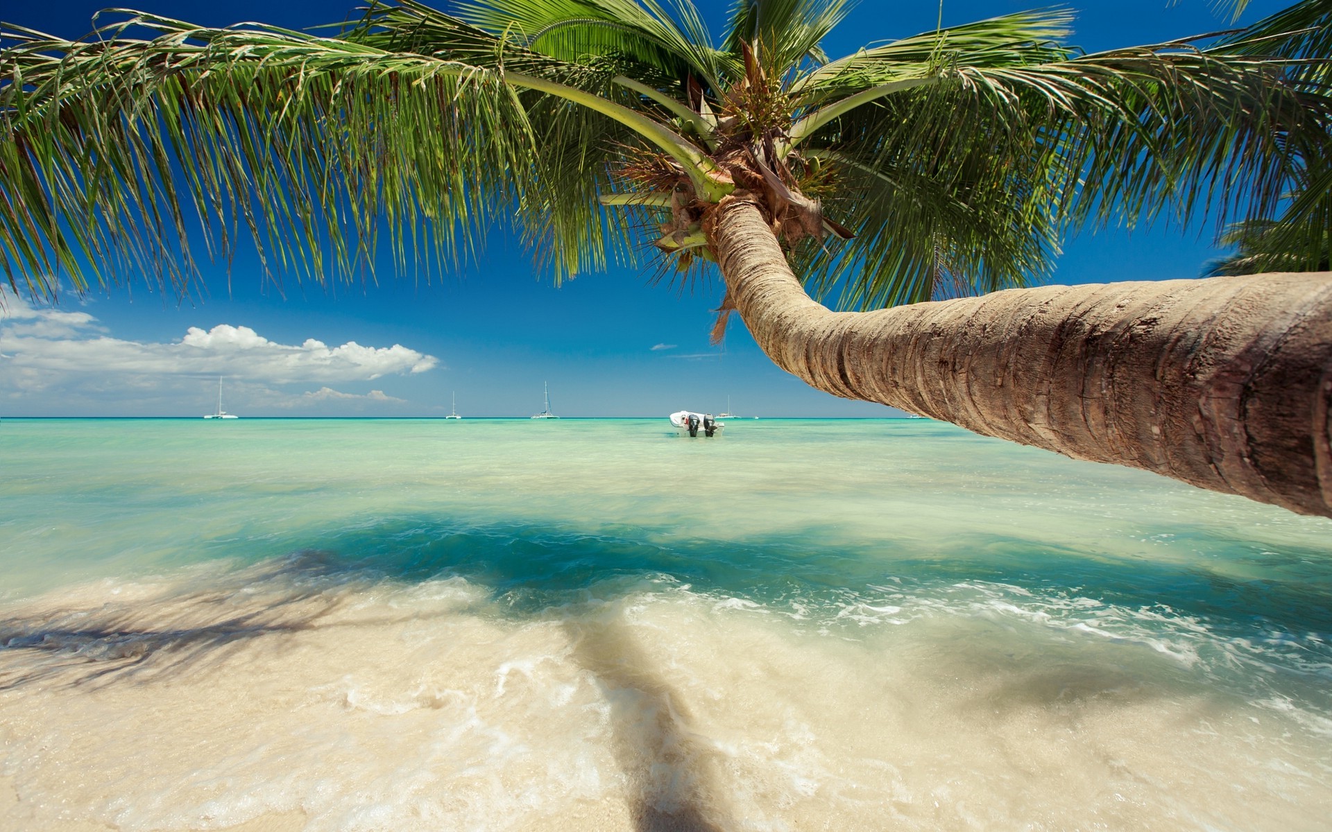 1920x1200 Top on S.T. Galleries | HD Photo Collection | Free Caribbean Wallpaper For  Desktop