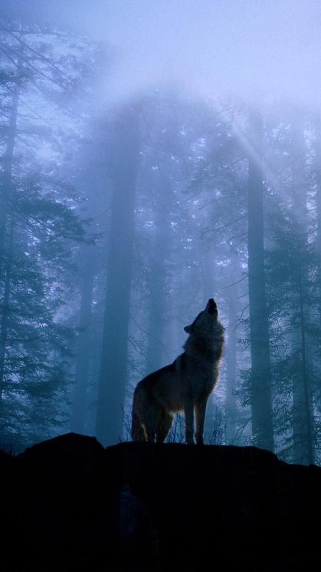 1080x1920 Twilight Foggy Forest Wolf Howl iPhone 6 wallpaper