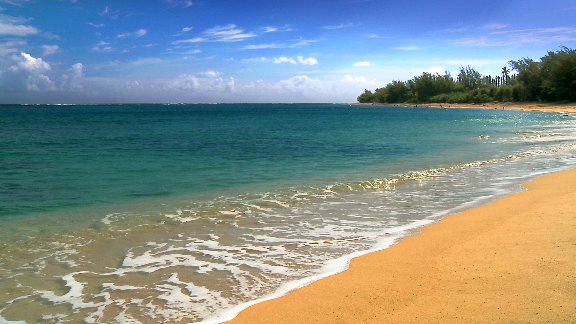 1920x1080 ... beautiful and remote beaches from the most popular Hawaiian Islands:  Kauai, Oahu, Maui, and Hawaii recorded in stunning FULL HIGH DEFINITION -  1080p.