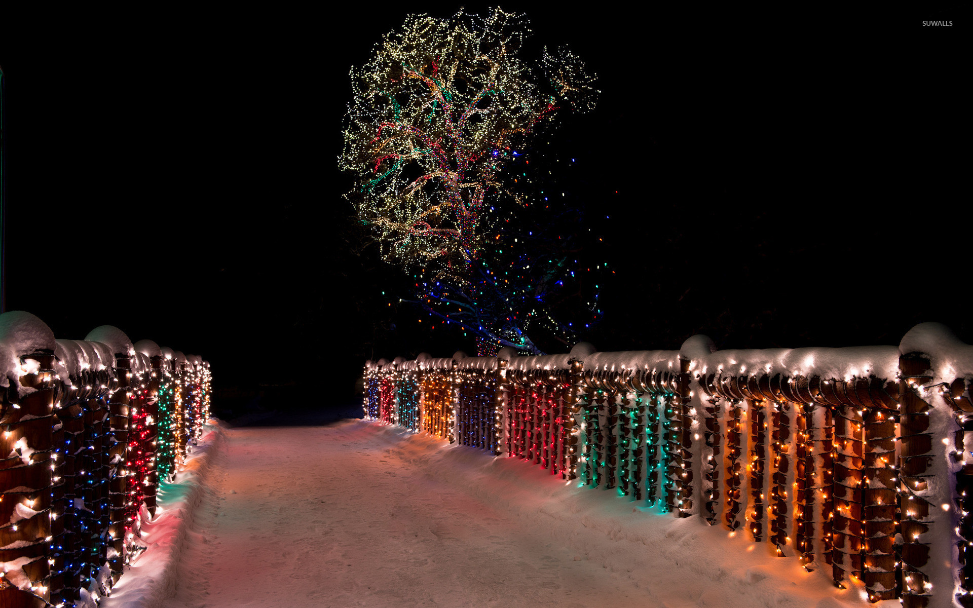 1920x1200 Colorful Christmas lights on the snowy bridge wallpaper