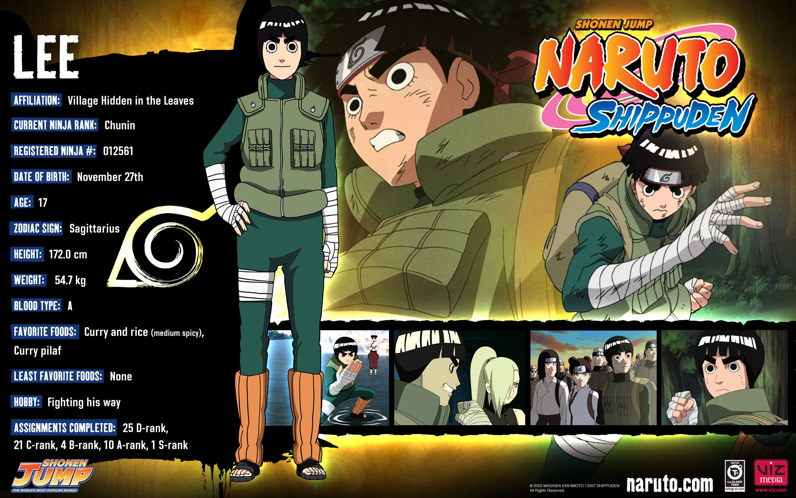 2560x1600 Rock Lee images Rock Lee Stats HD wallpaper and background photos