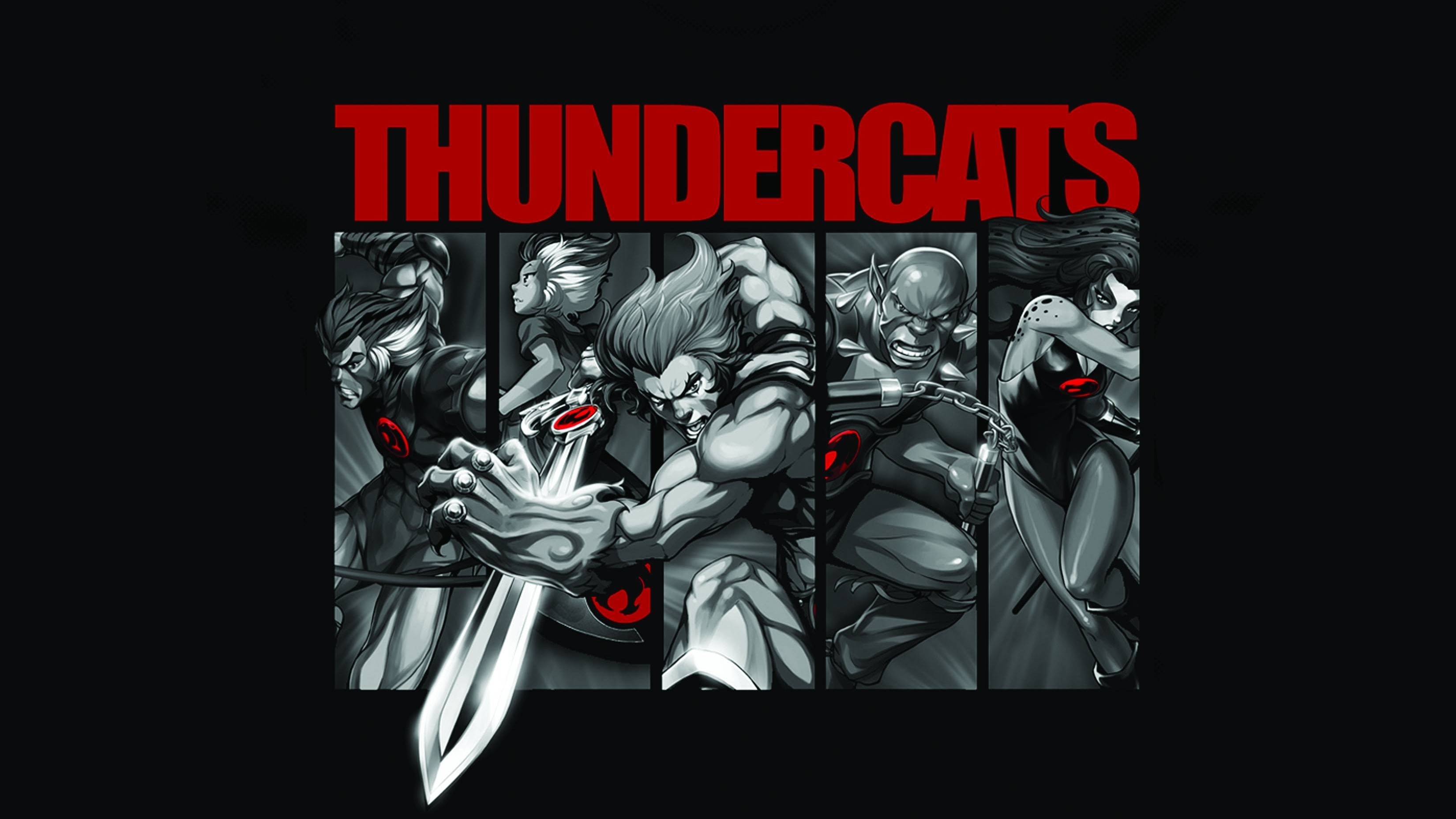 3300x1856 Cartoon - Thundercats Cheetara Lion-O Wallpaper