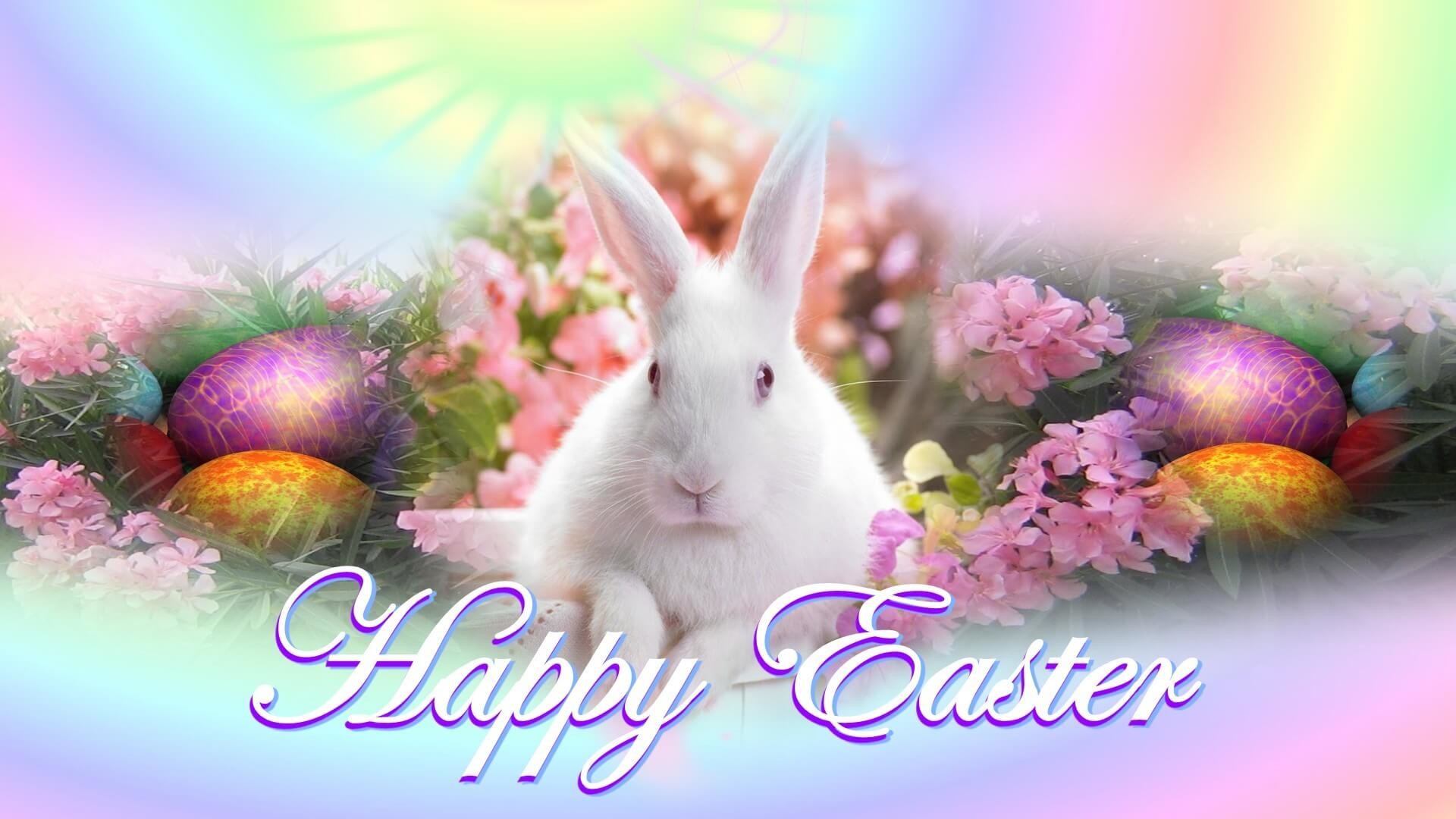 1920x1080 cute white rabbit bunny easter wishes hd background